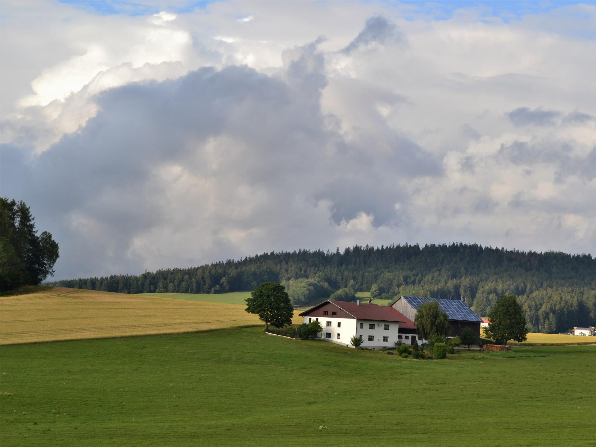View 2 of Ilztal Vet Tierärztliche Praxis für Groß und Kleintiere