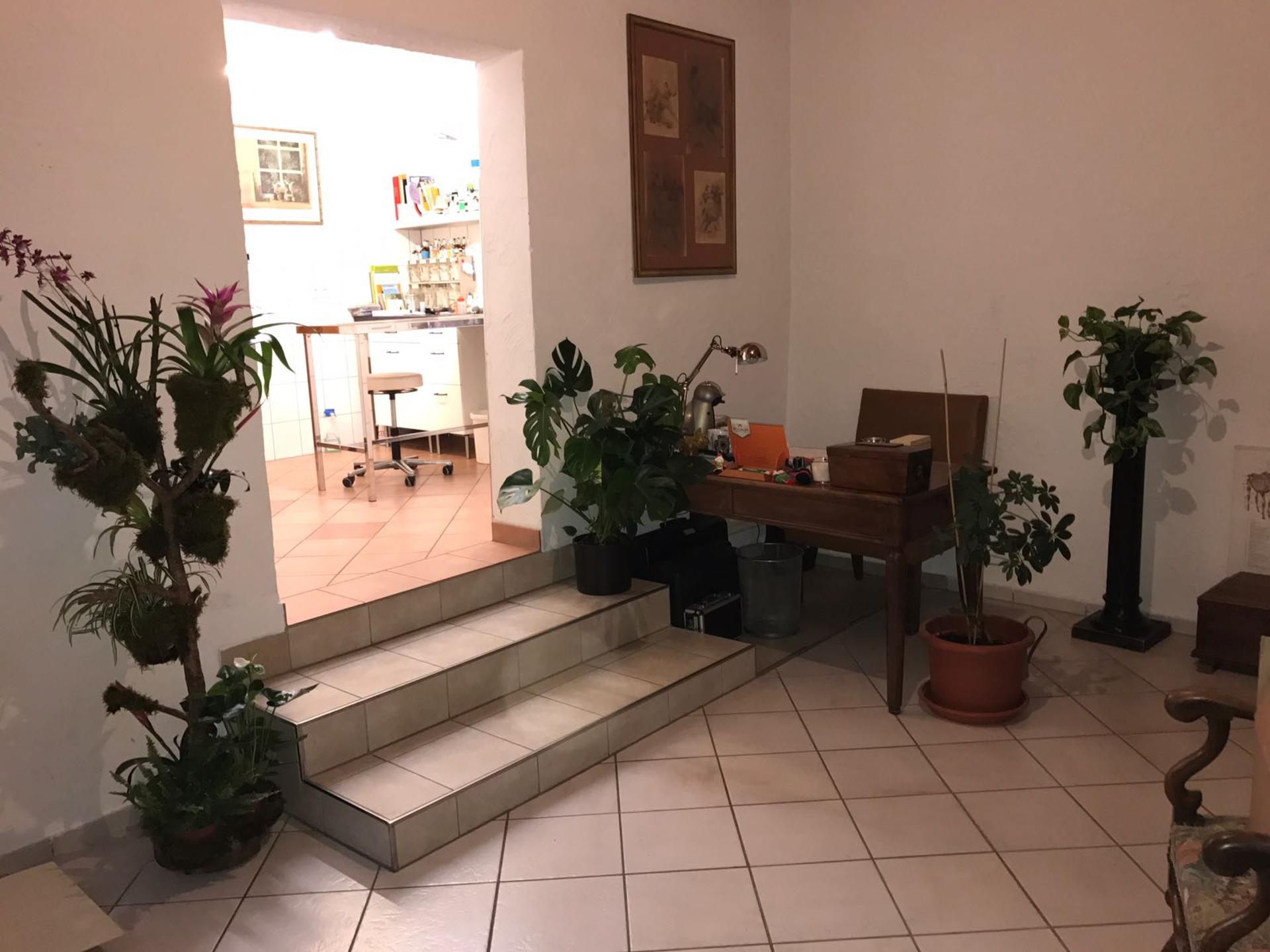 Ansicht 3 von TIERARZTPRAXIS STEINBACH