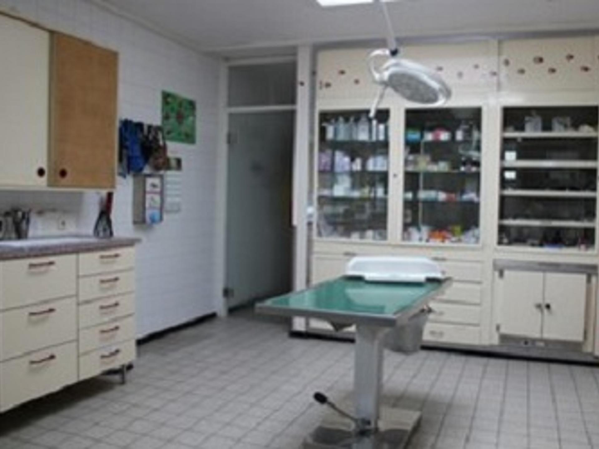 Ansicht 2 von Kleintierpraxis Haberkern - Fachtierärzte im Raum Heilbronn und Neckarsulm