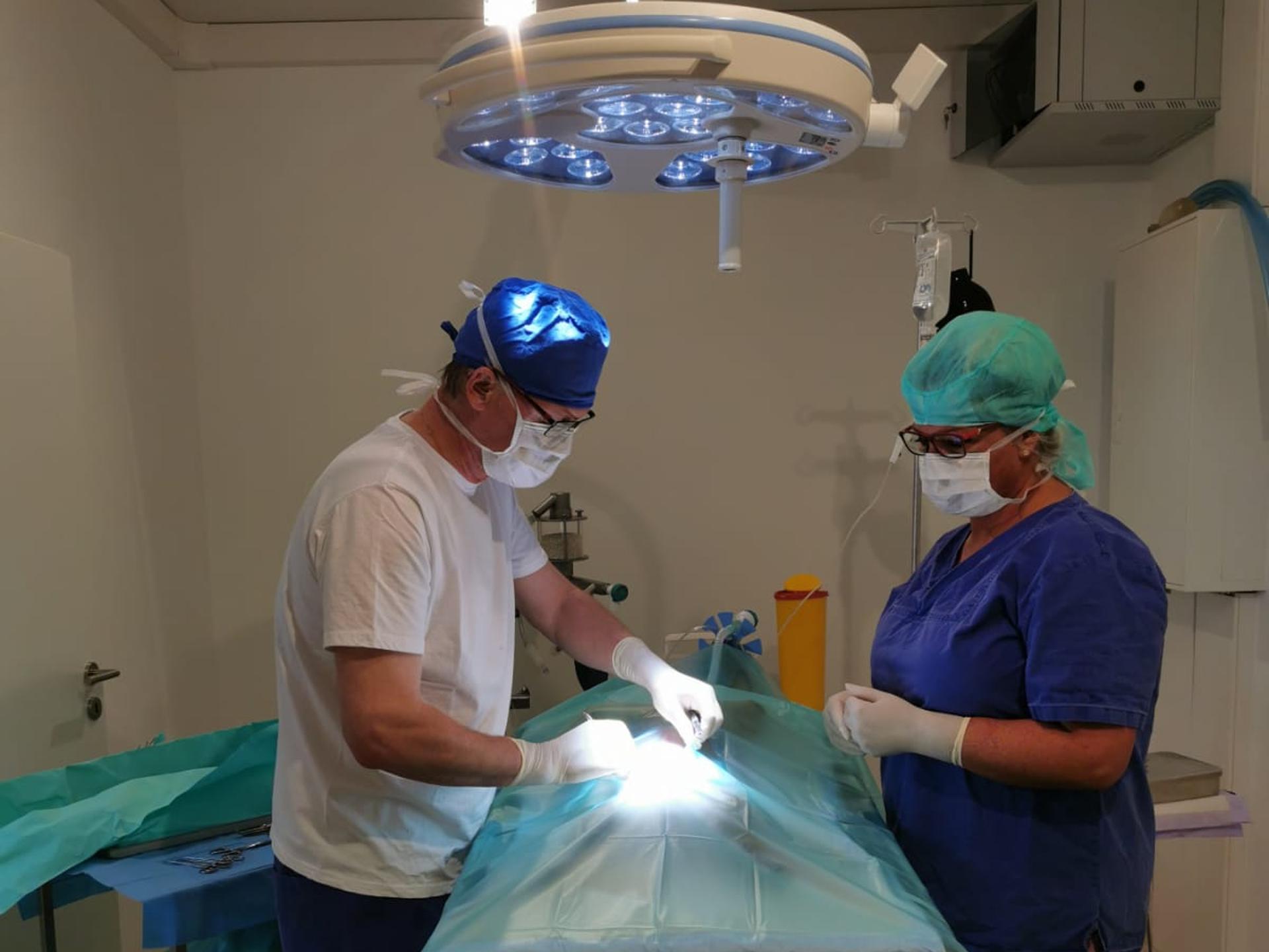 Ansicht 3 von Tierarztpraxis Dr. med. vet. Laszlo Hornyak