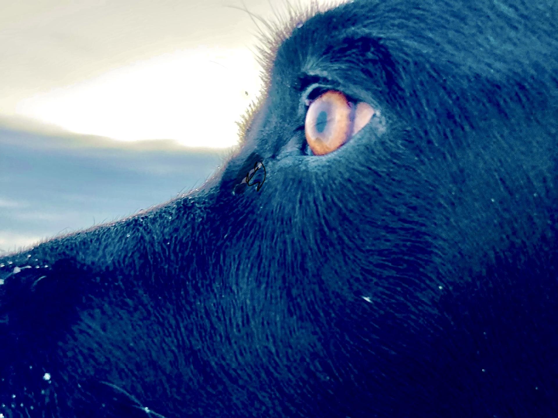 Ansicht 1 von Tierarztpraxis Heermann