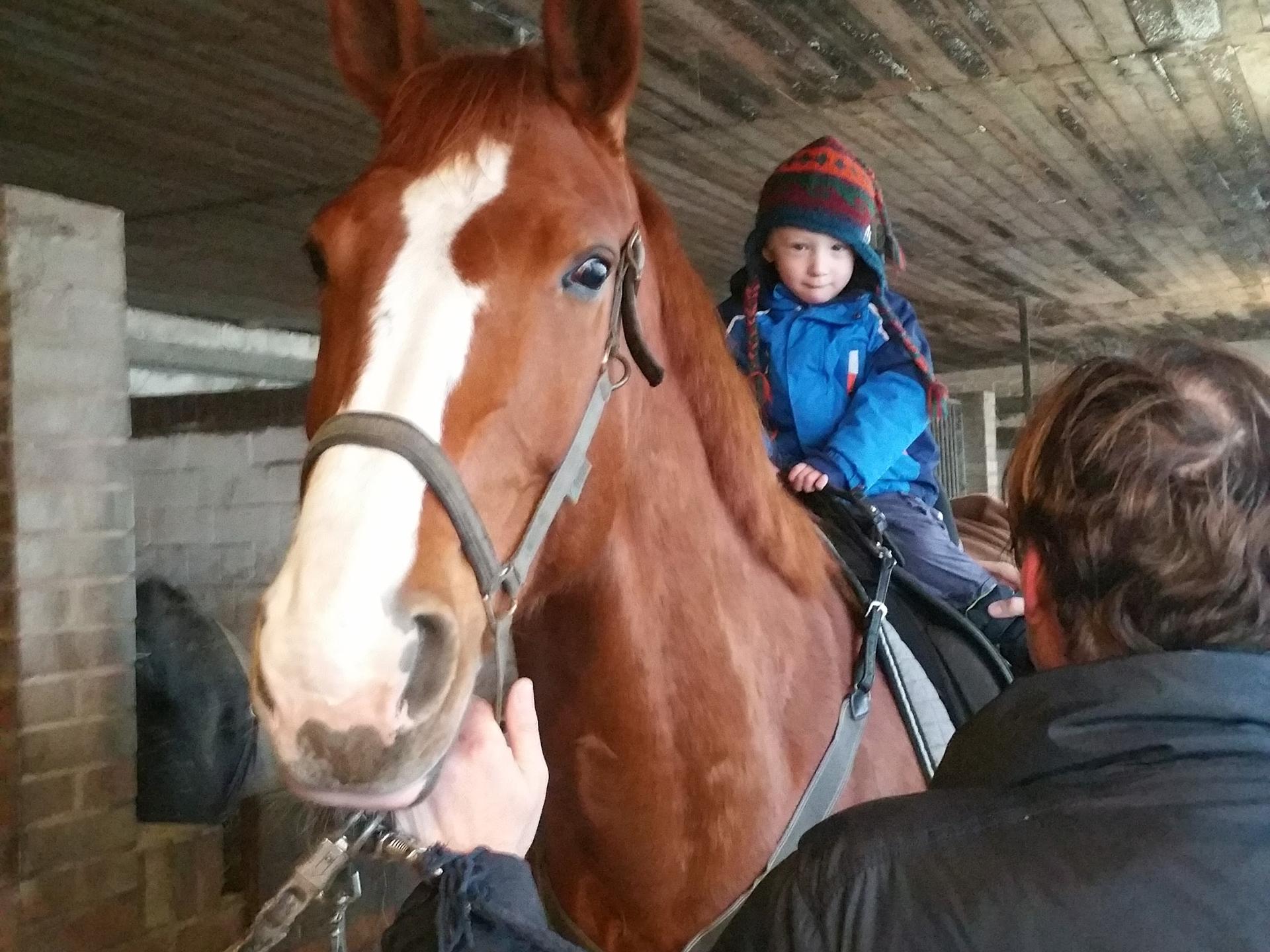View 1 of Tierärztliche Praxis für Augenheilkunde