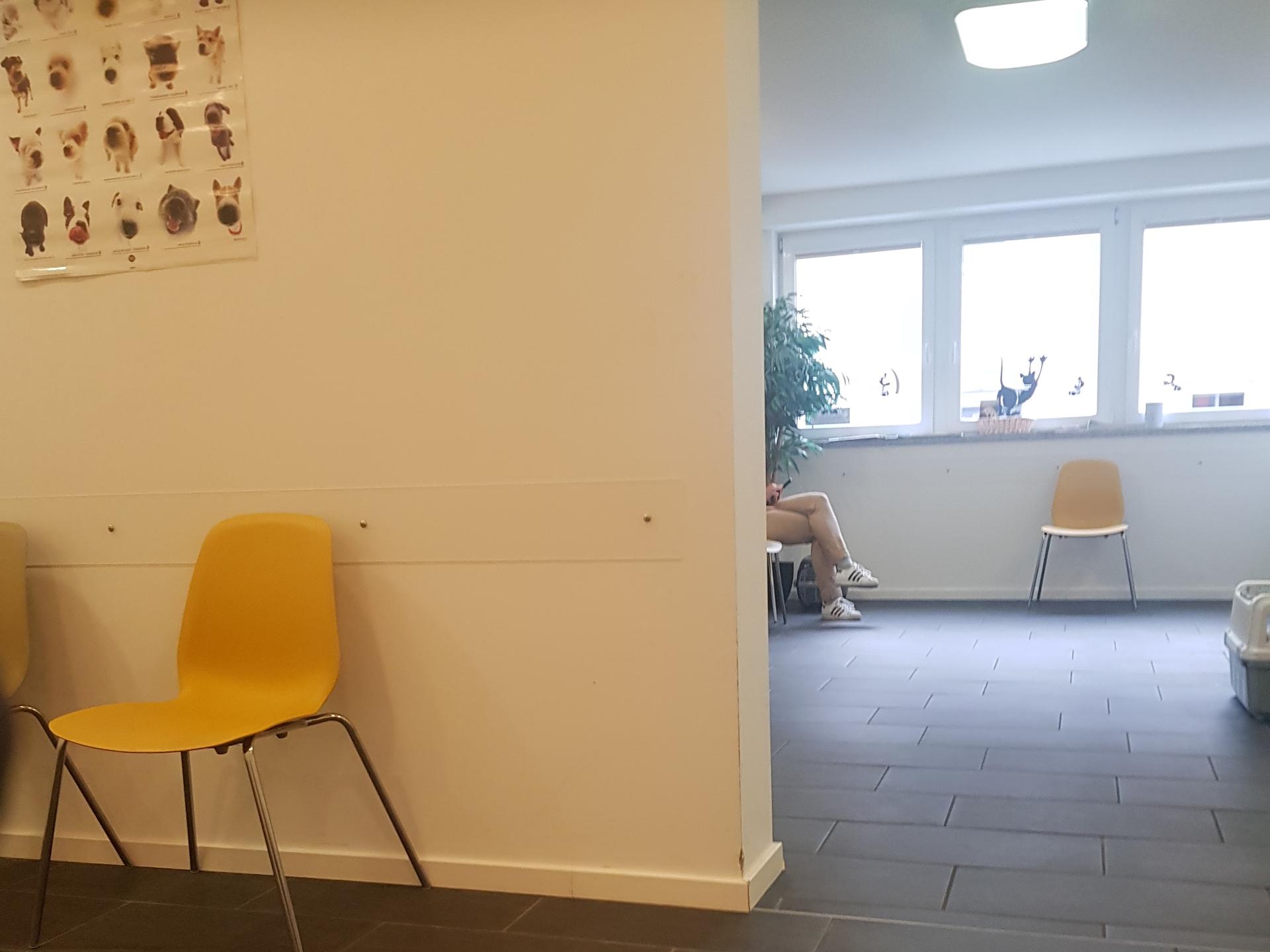Ansicht 1 von Tierärztin Petra Müller