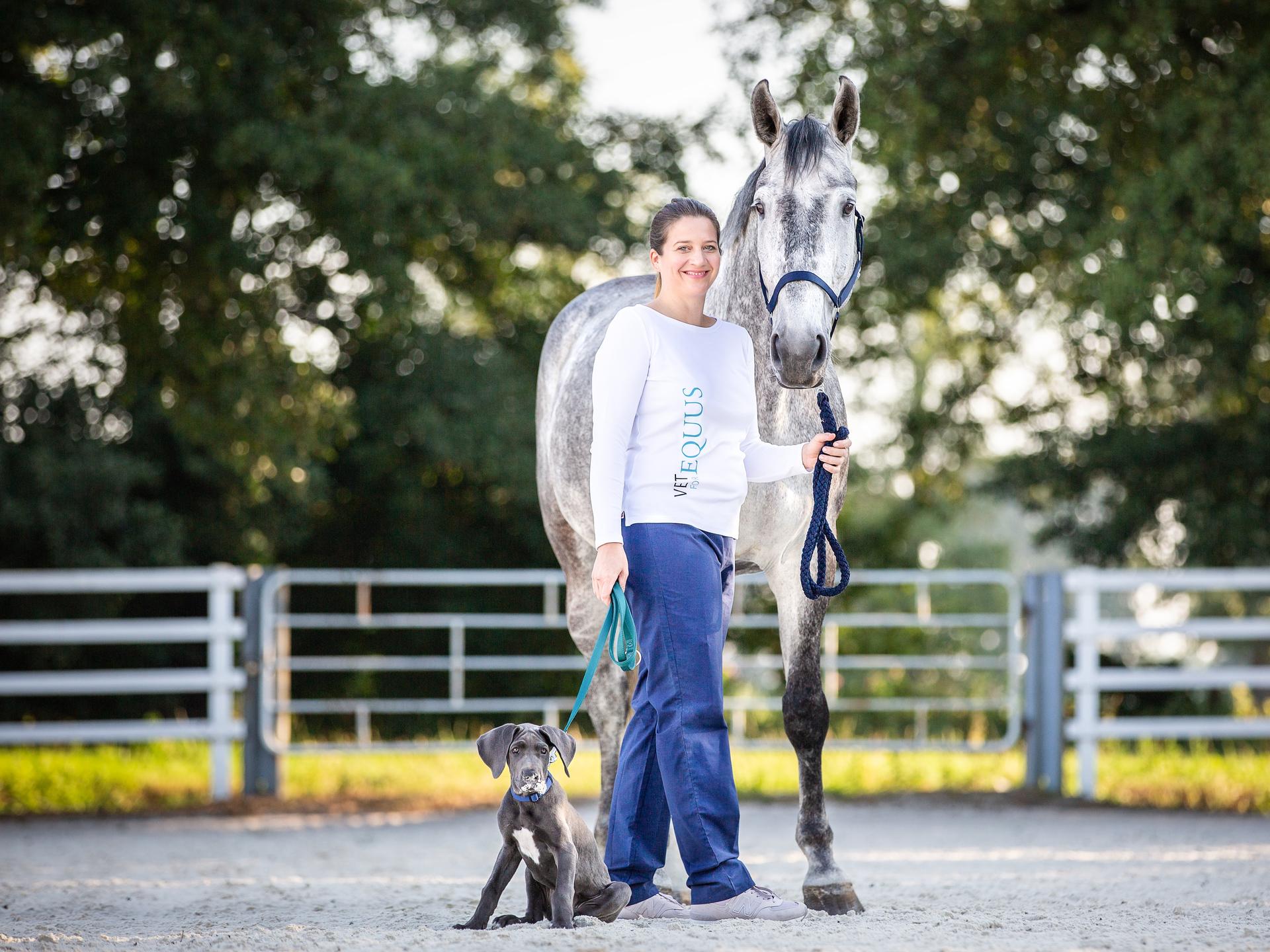 View 1 of VET FOR EQUUS Mobile Pferdepraxis & TCVM Akupunktur chinesische Medizin Hund und Pferd 24/7 Notdienst für Pferde