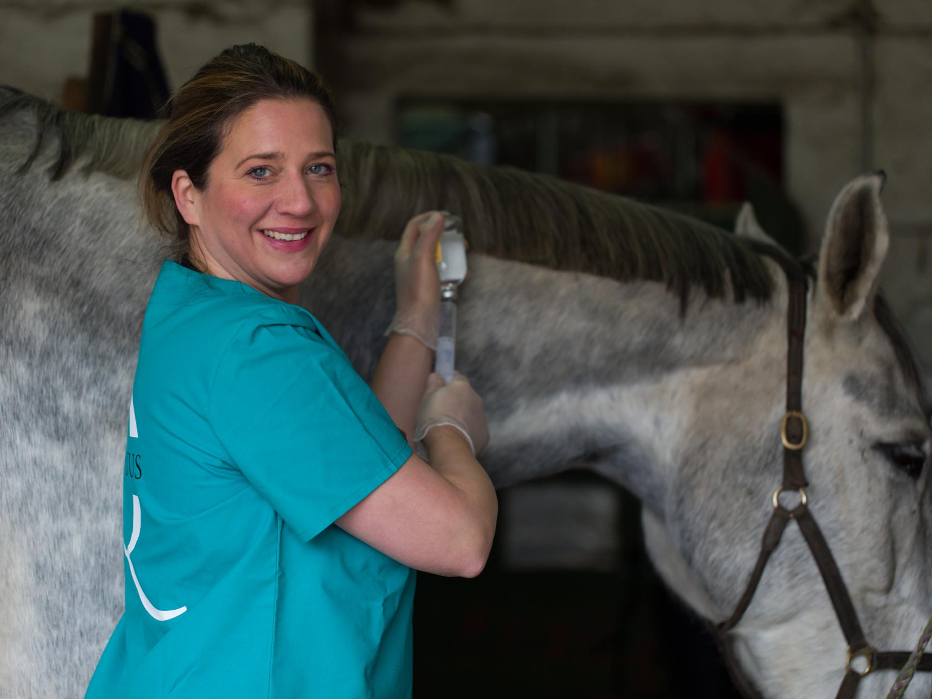 View 2 of VET FOR EQUUS Mobile Pferdepraxis & TCVM Akupunktur chinesische Medizin Hund und Pferd 24/7 Notdienst für Pferde