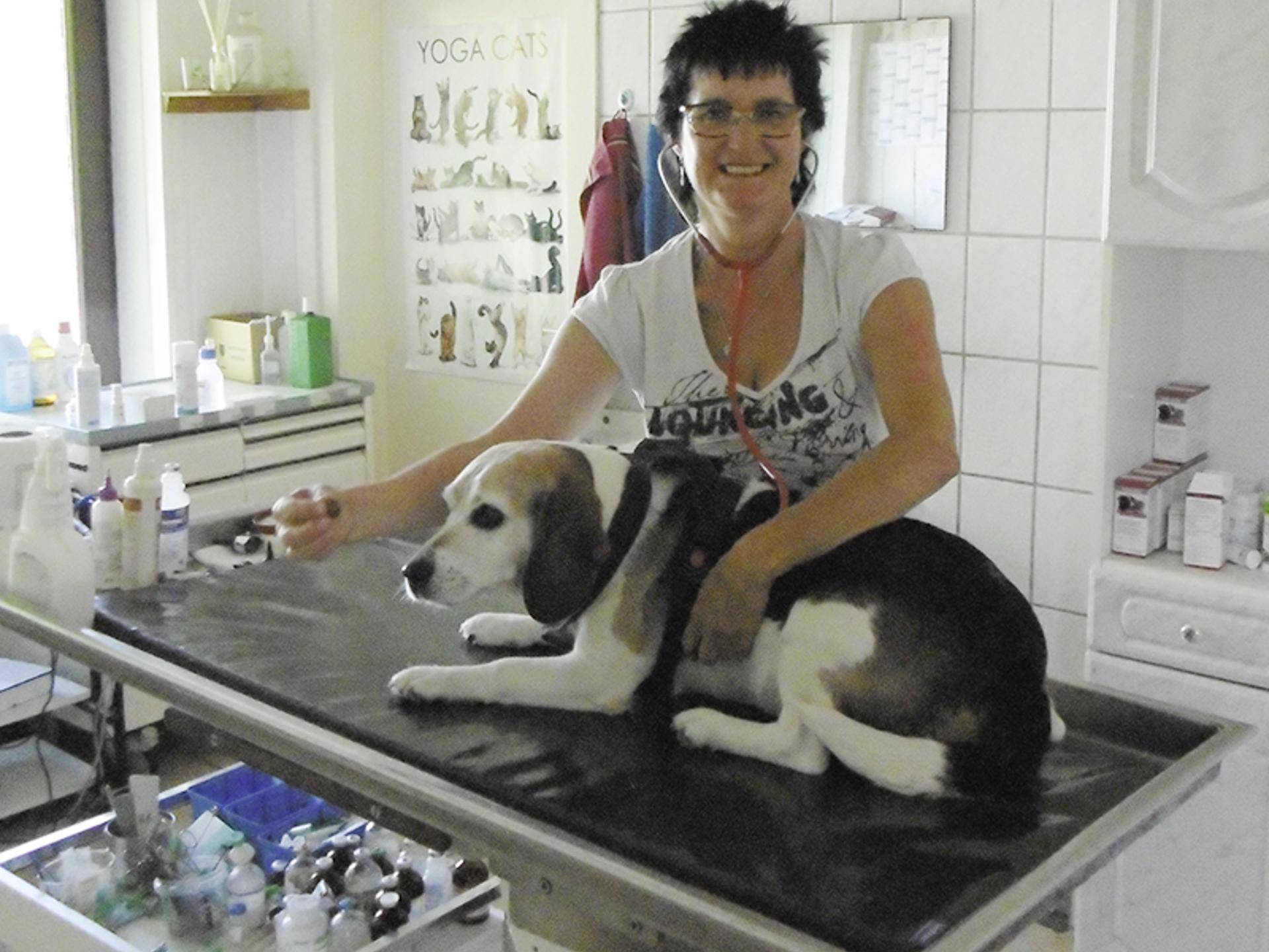 Ansicht 1 von Kleintierpraxis Karin Bendix