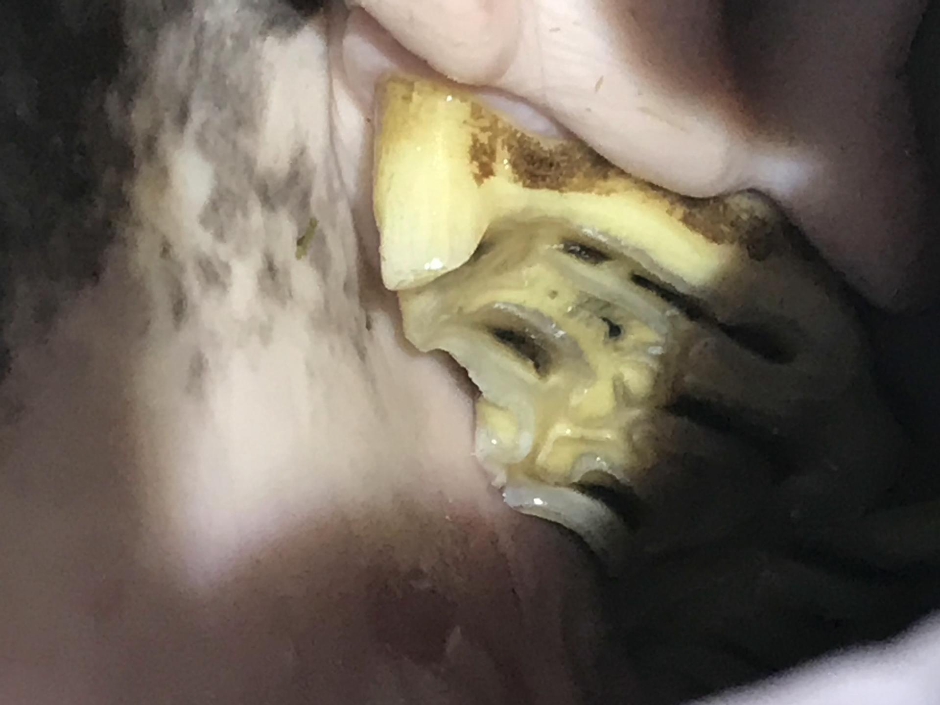 View 2 of Pferdedentalpraxis Jan Fiedler