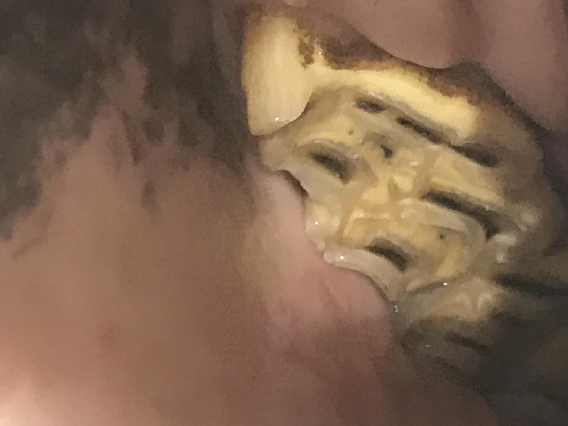 View 4 of Pferdedentalpraxis Jan Fiedler