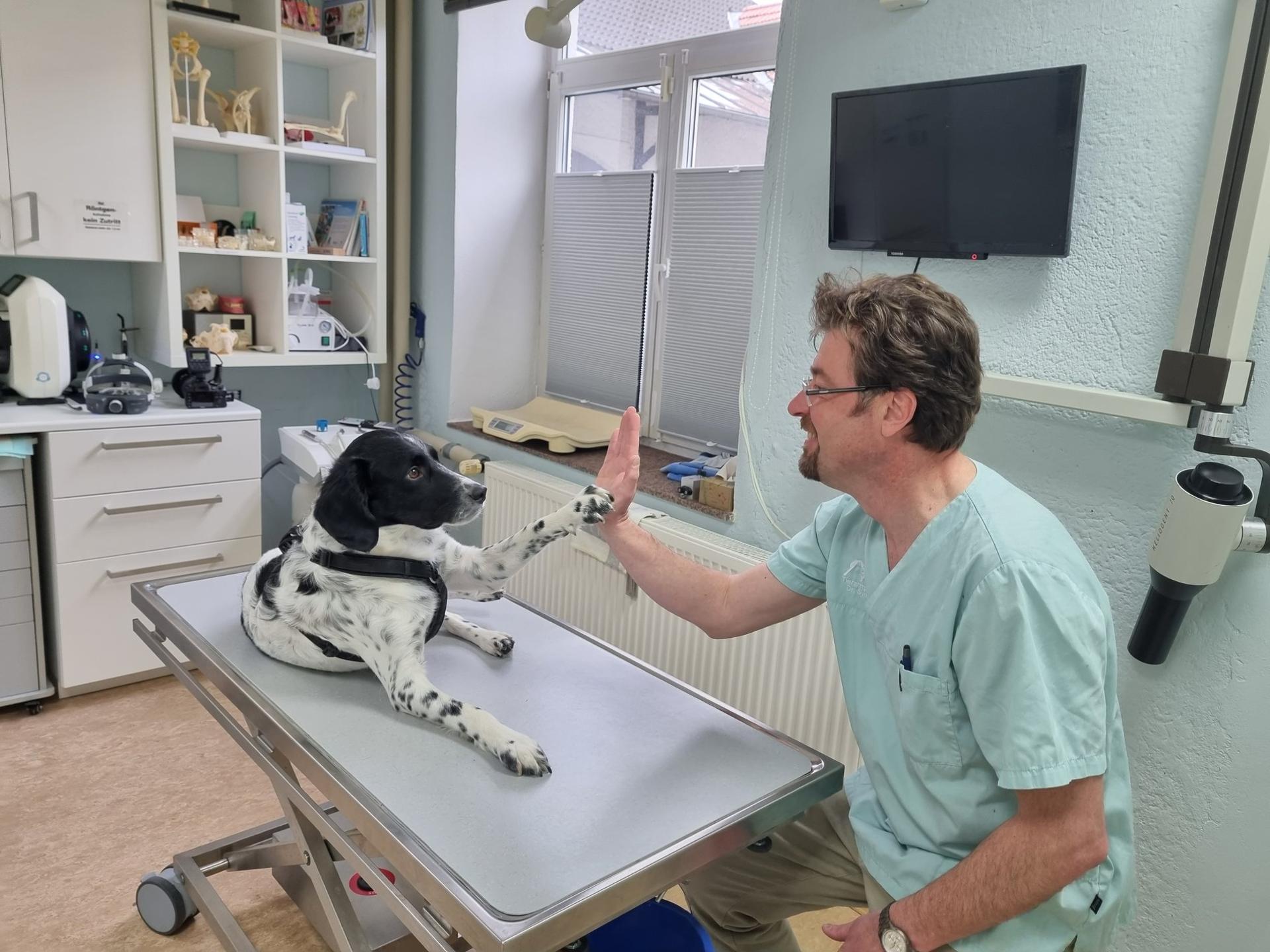 Ansicht 2 von Dr.med.vet. Andre Synilo Tierärztliche Praxis