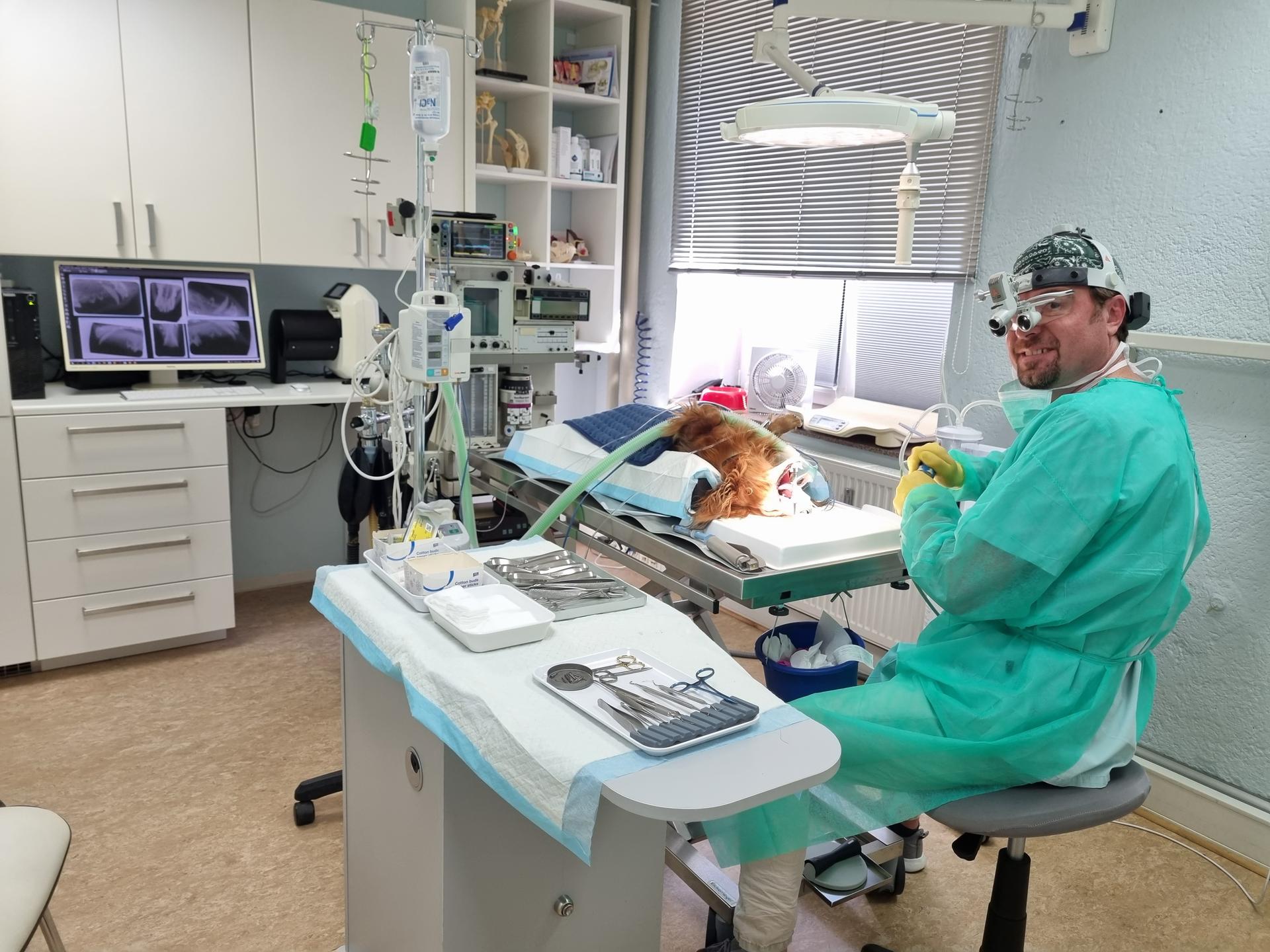 Ansicht 3 von Dr.med.vet. Andre Synilo Tierärztliche Praxis