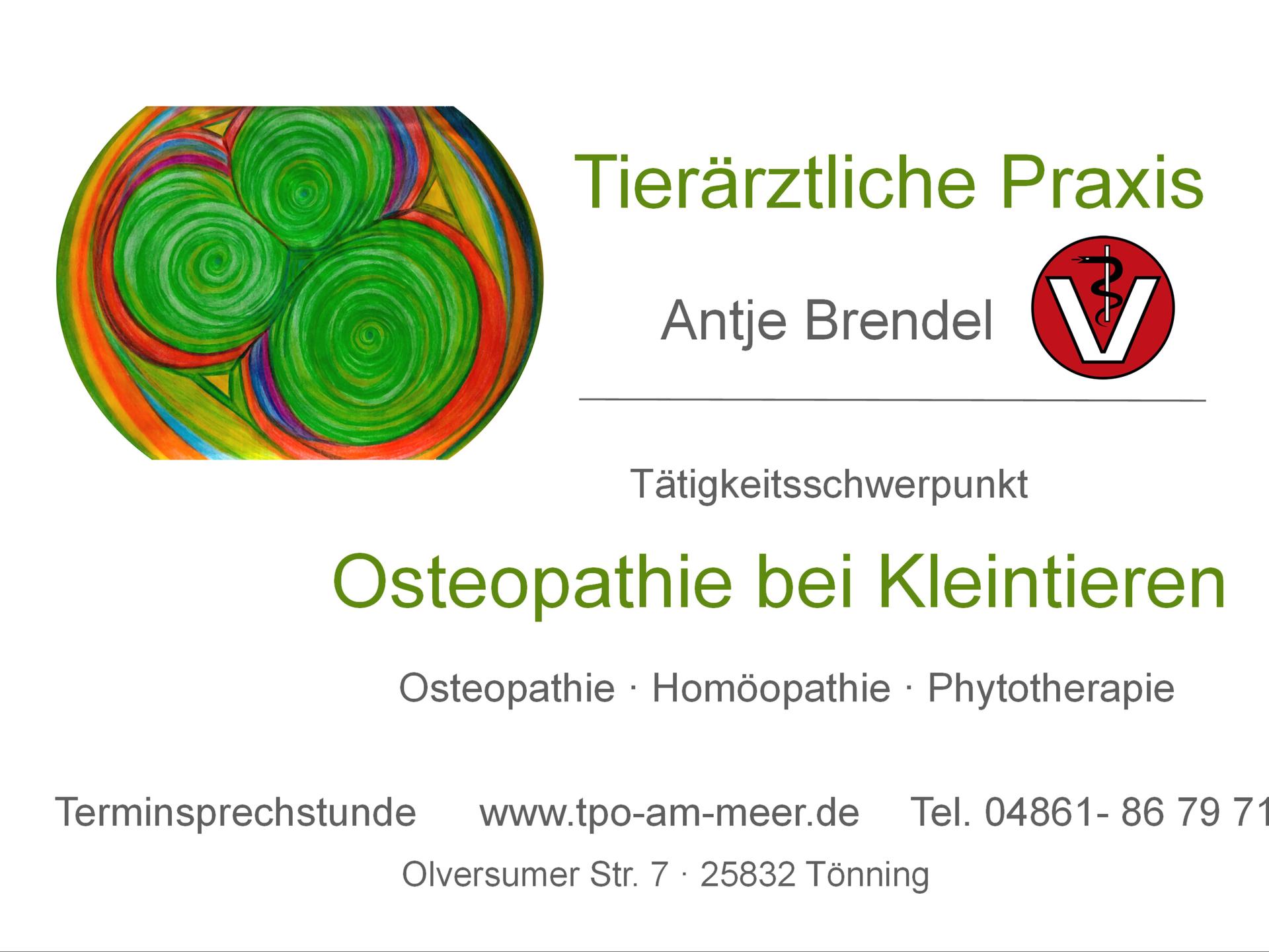 Ansicht 2 von Tierarztpraxis Antje Brendel #Osteopathie #Homöopathie #Phytoptherapie #Tönning #Garding #SPO #Eiderstedt #Nordfriesland