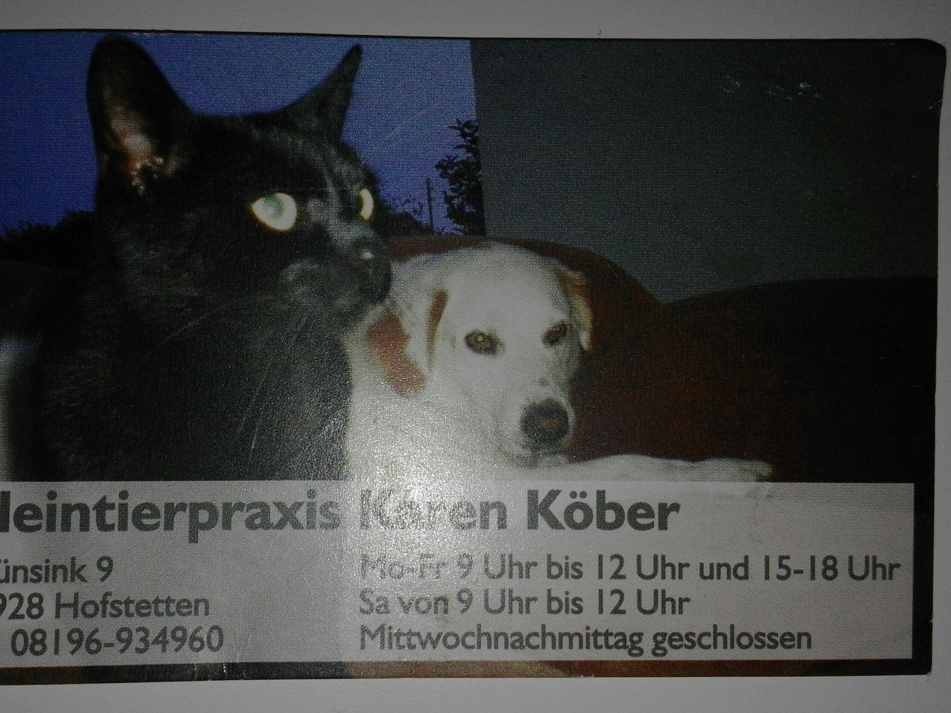 Ansicht 3 von Karen Köber Tierärztin