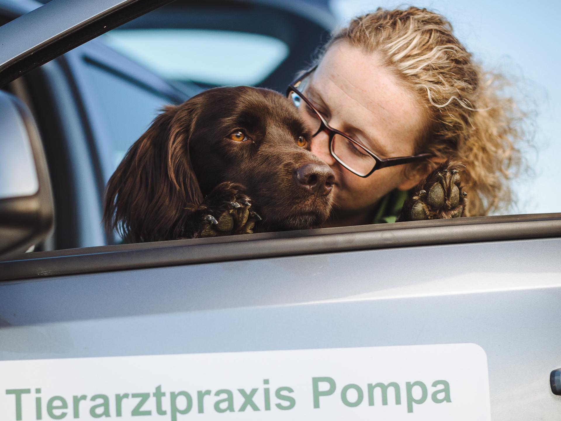 Ansicht 4 von Tierarztpraxis Pompa