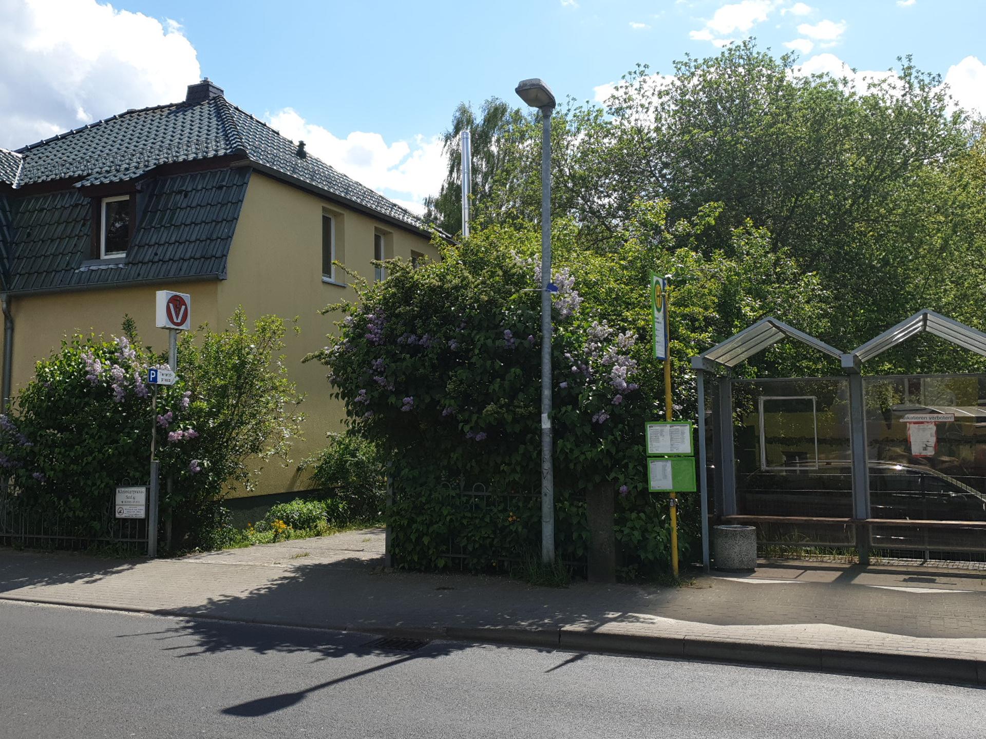 Ansicht 1 von Tierarzt Michendorf - Seelig
