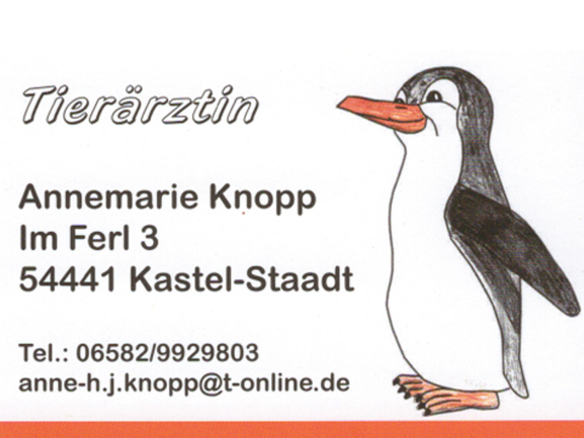 Ansicht 2 von Annemarie Knopp Praktische Tierärztin