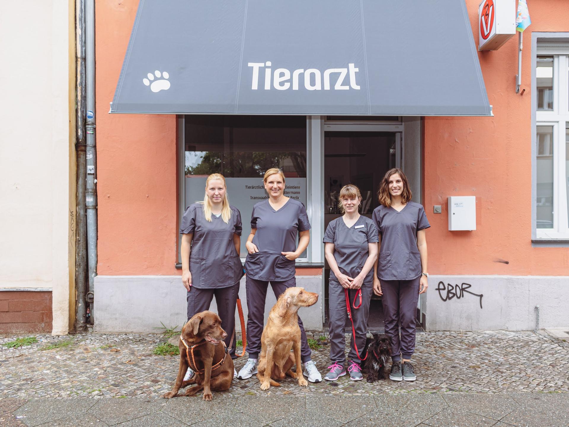 Ansicht 2 von Tierarztpraxis Dr.S.Lattermann im Wedding