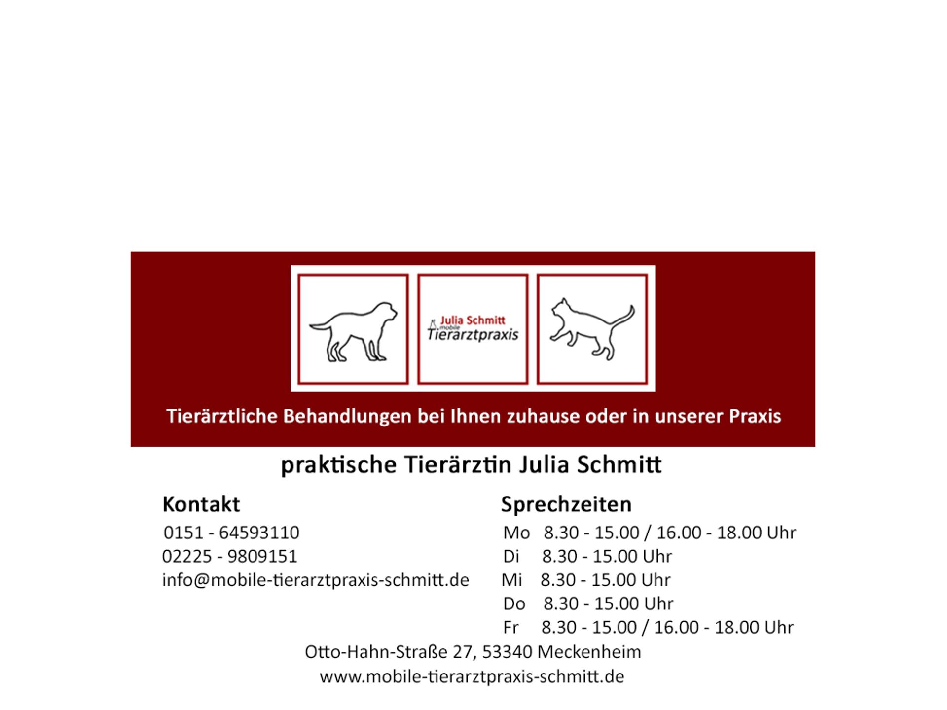 Ansicht 3 von Tierarztpraxis Julia Schmitt
