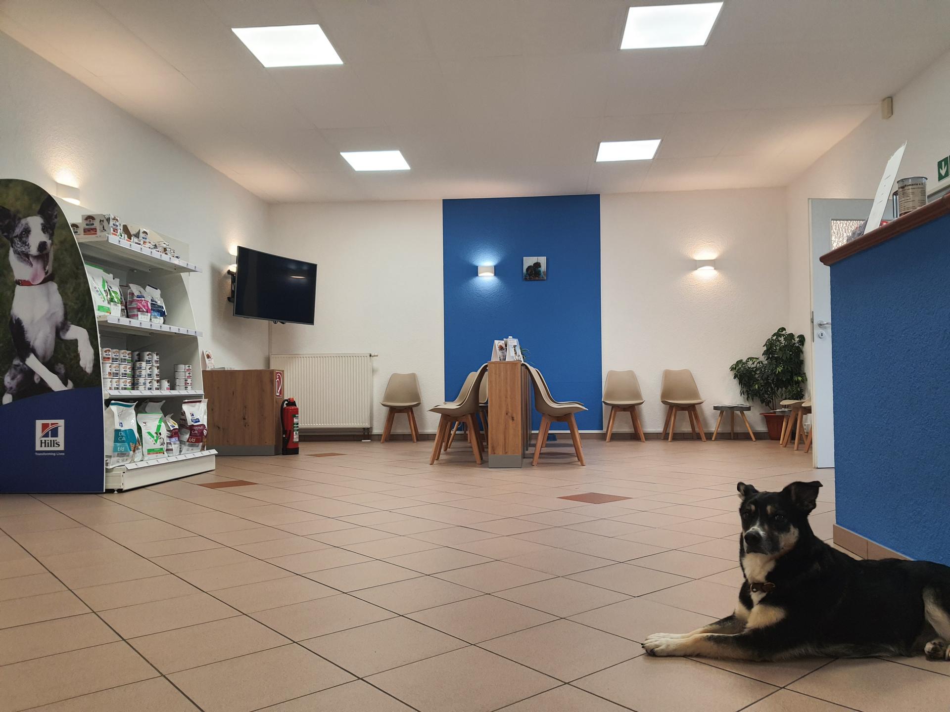 Ansicht 1 von Tiergesundheitszentrum Stadtbergen