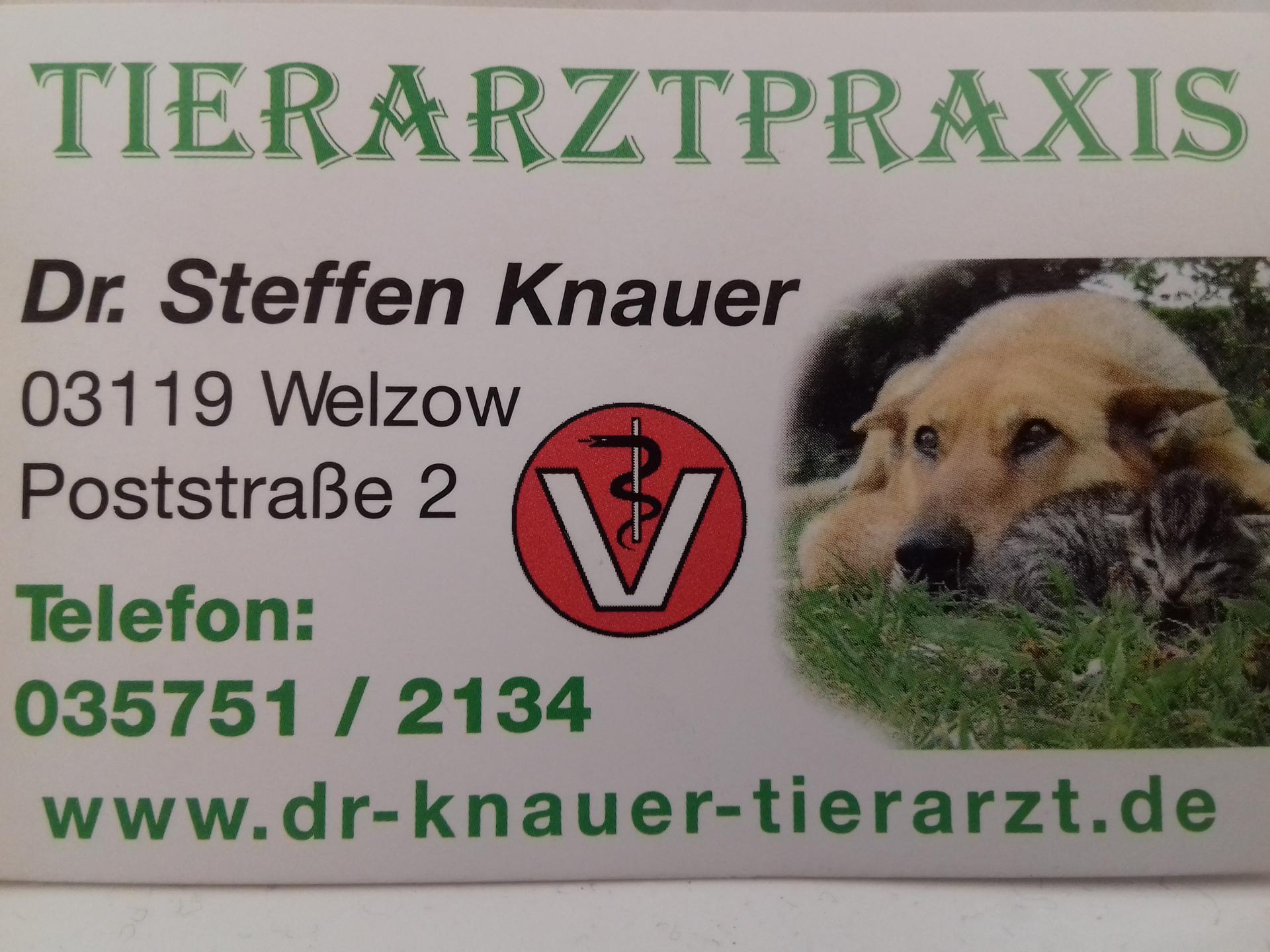 Ansicht 1 von Dr.med. vet. Steffen Knauer