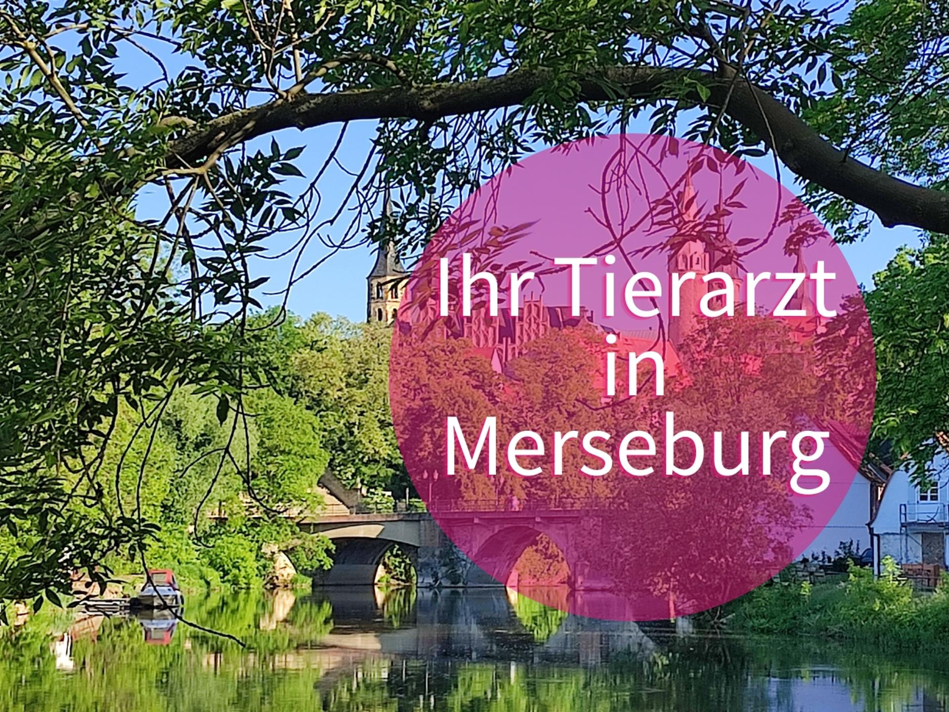 Ansicht 1 von Tierarztpraxis Rollin