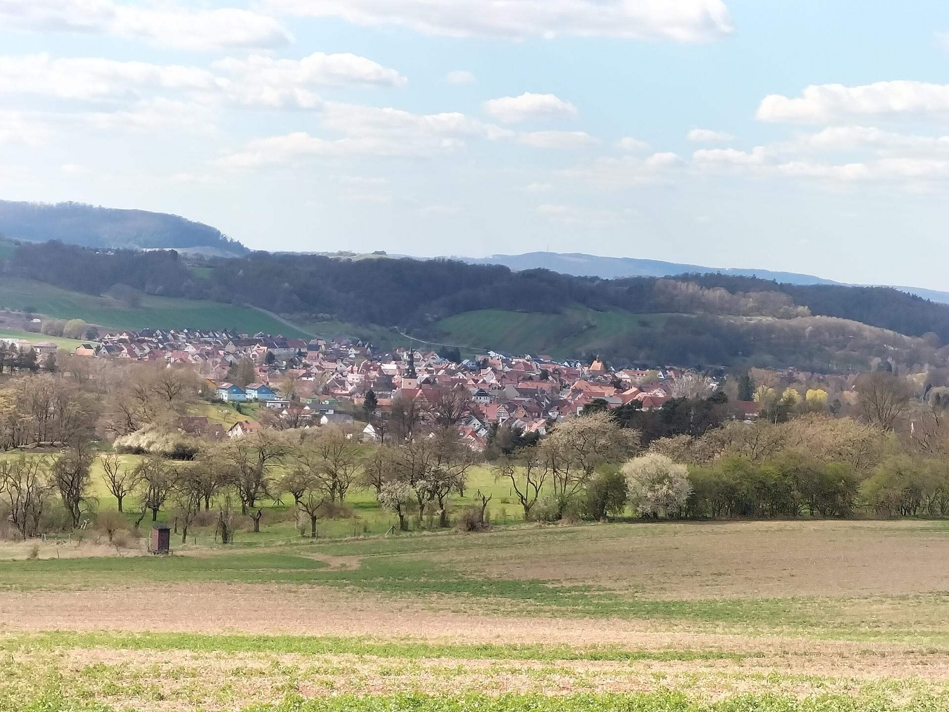 Ansicht 2 von Tierarztpraxis Helga Wehr