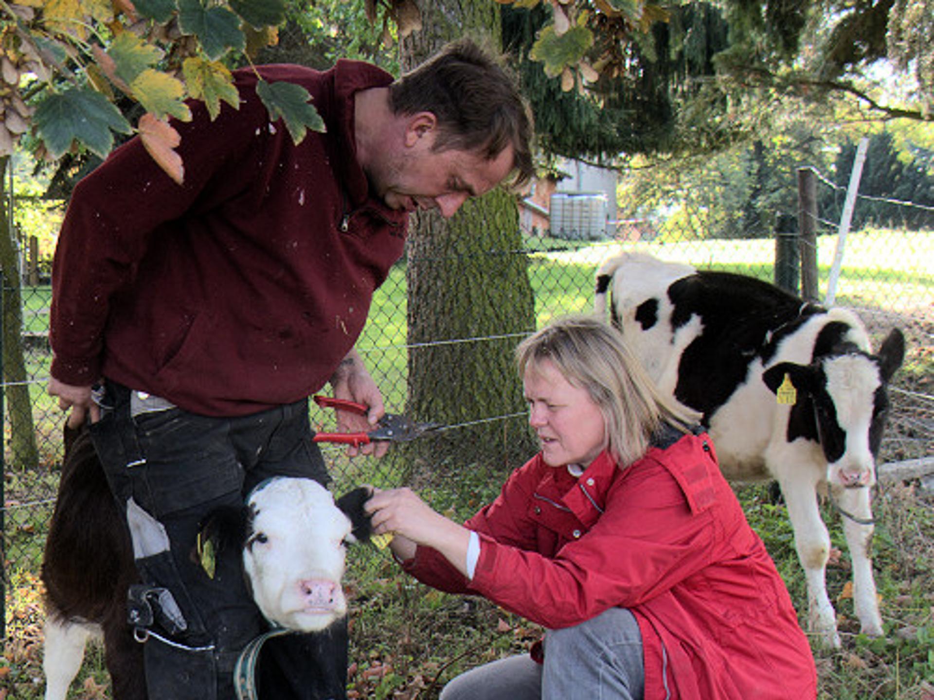 Ansicht 4 von Dr.med.vet. Sibylle Börngen Tierärztin