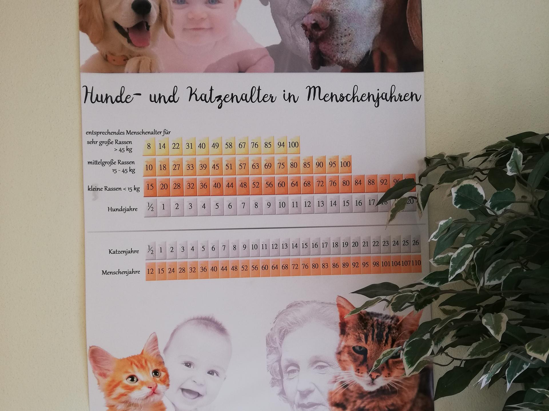 Ansicht 3 von Tierarztpraxis Thierfelder
