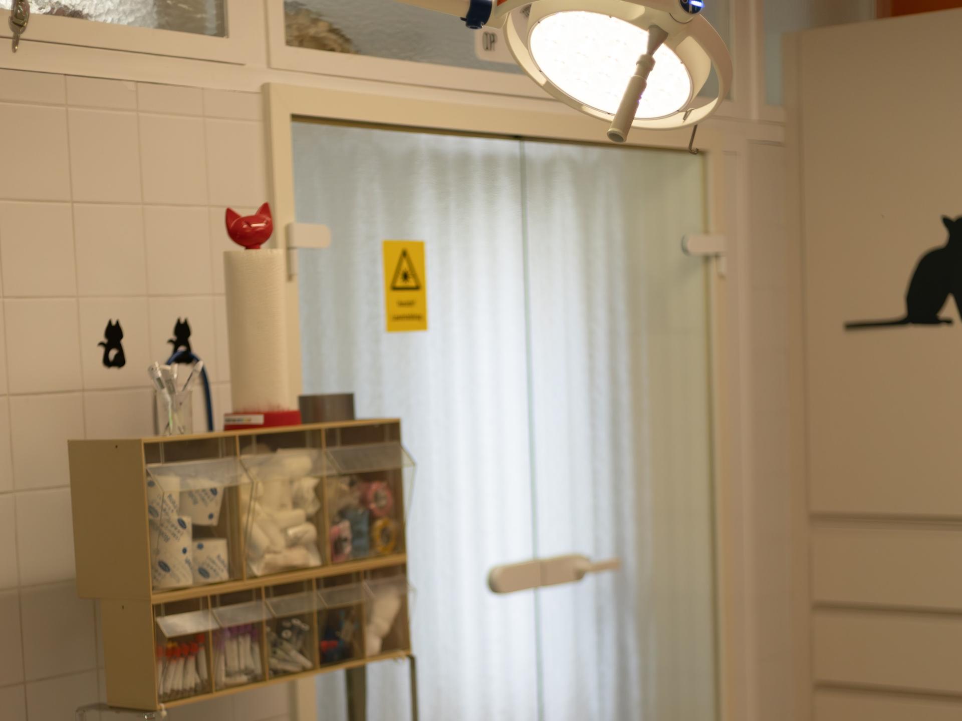 Ansicht 5 von Tierärztliche Gemeinschaftspraxis Thiele & Vogel