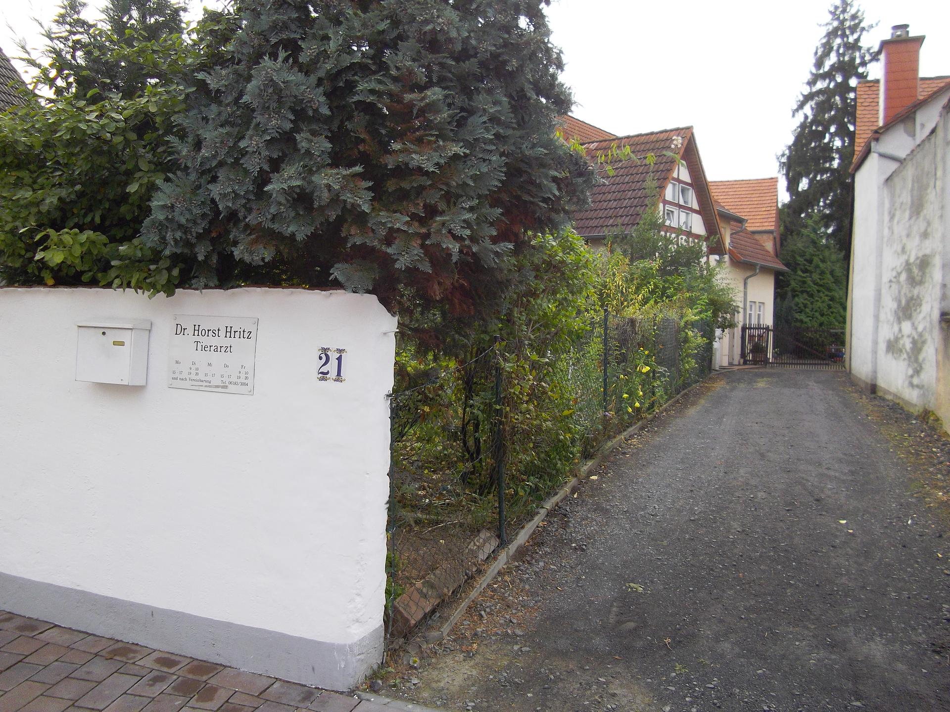 Ansicht 1 von Dr. Horst Hritz Tierarzt