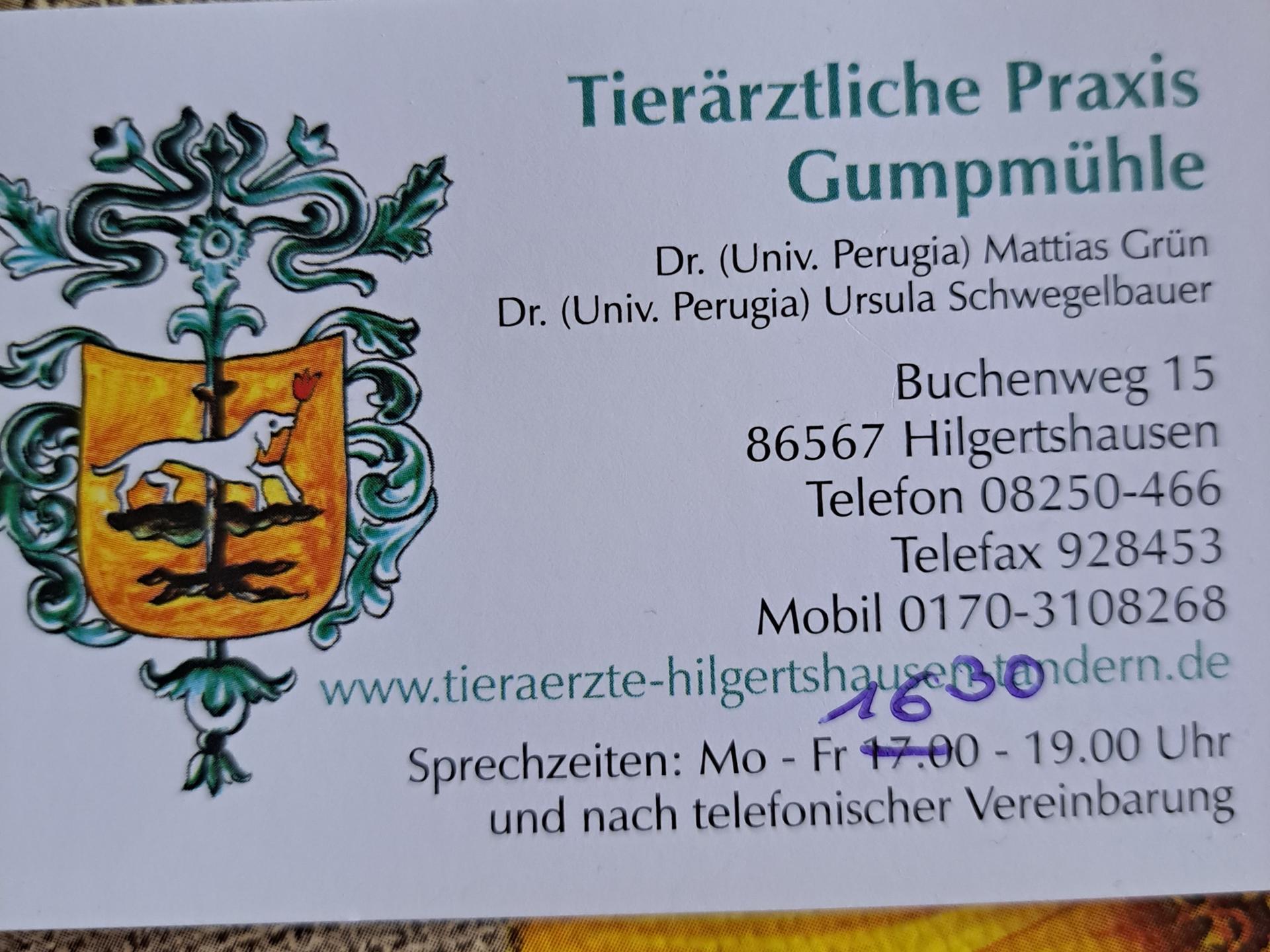 Ansicht 3 von Mattias Grün u. Schwegelbauer Ursula Drs. Univ. Perugia