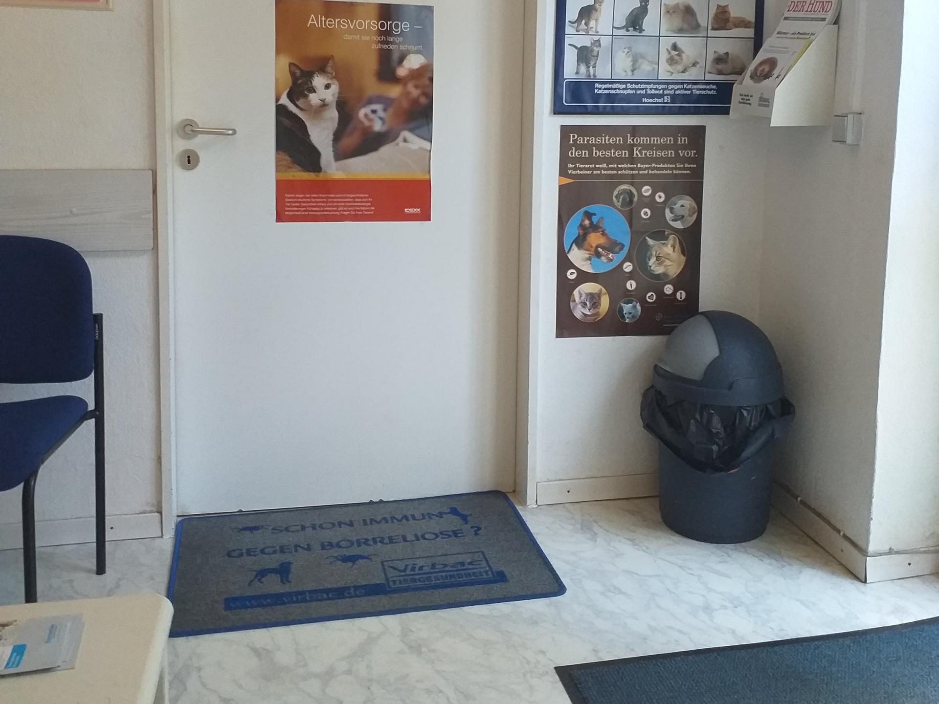 Ansicht 1 von Kleintierpraxis Katrin Laabs