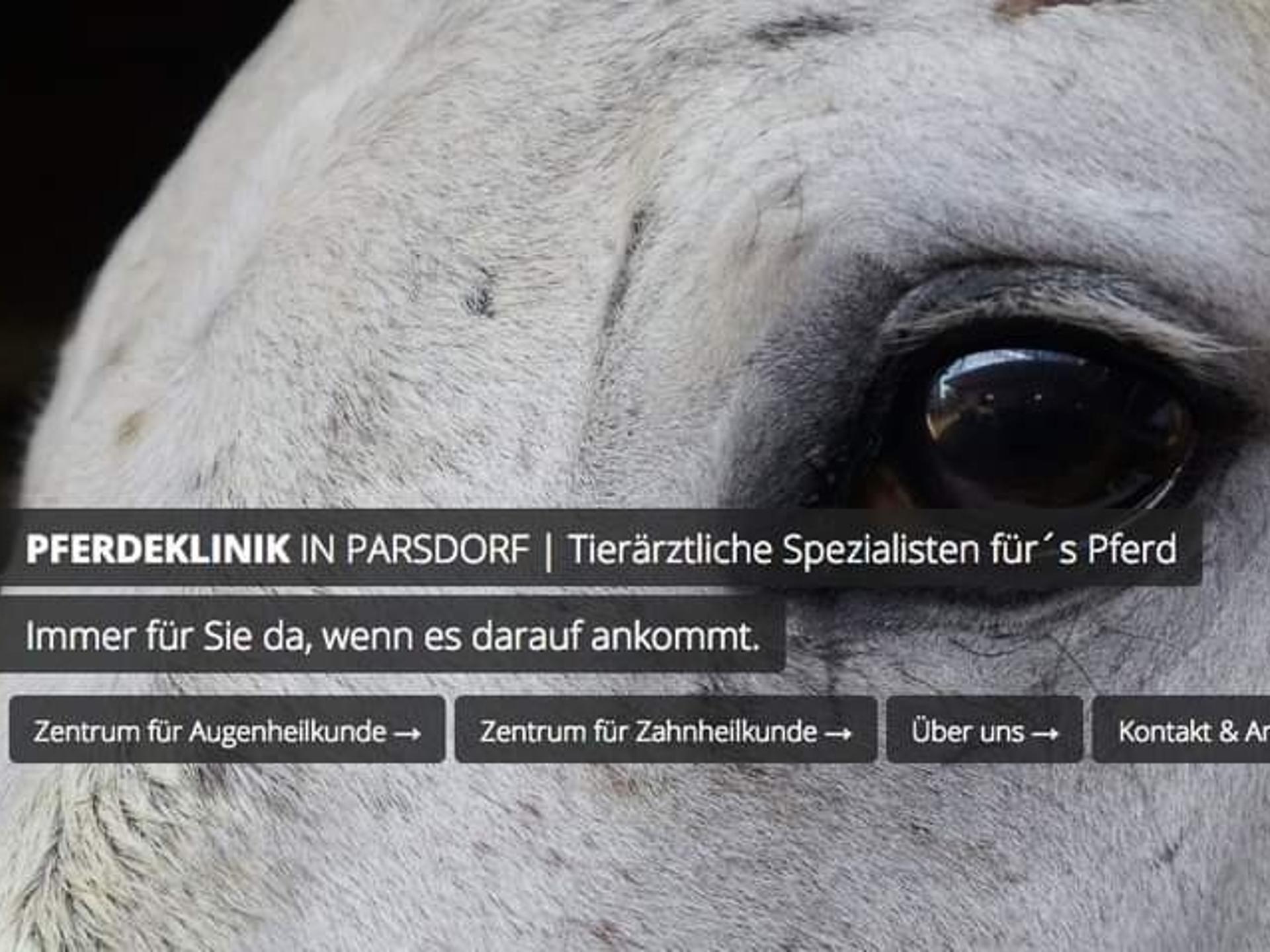 Ansicht 1 von Pferdeklinik in Parsdorf GmbH | Klinik für Pferde | München