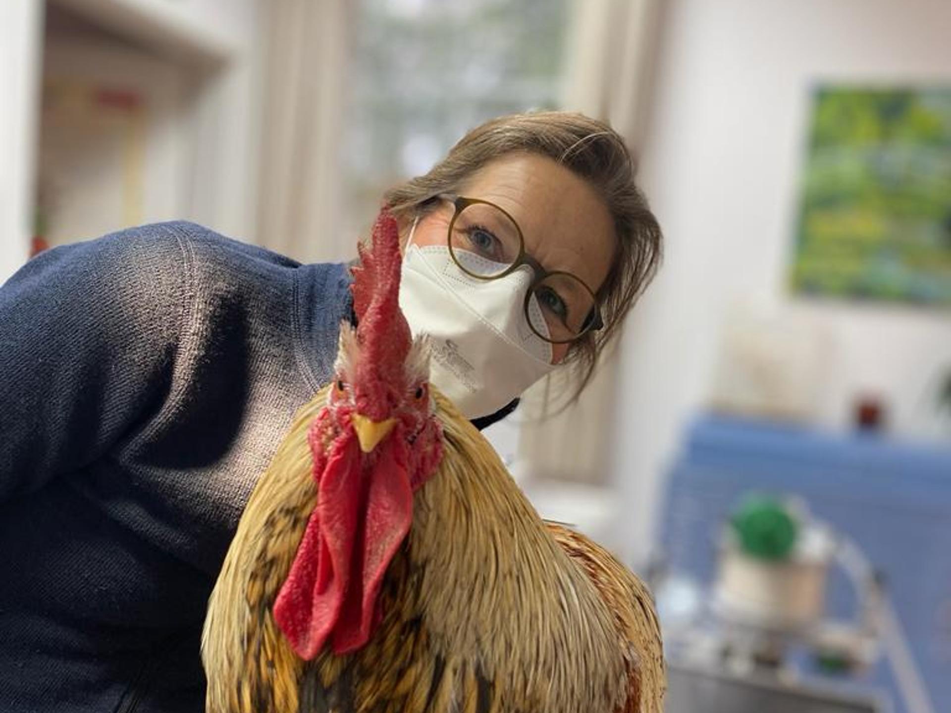 Ansicht 1 von Praxis für Kleintiere Dr. Katja Taubhorn