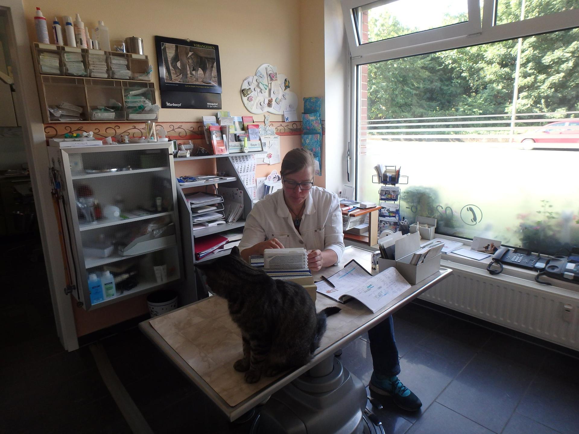 View 1 of Dr.med.vet. Veronika Madeiczyk Kleintierpraxis