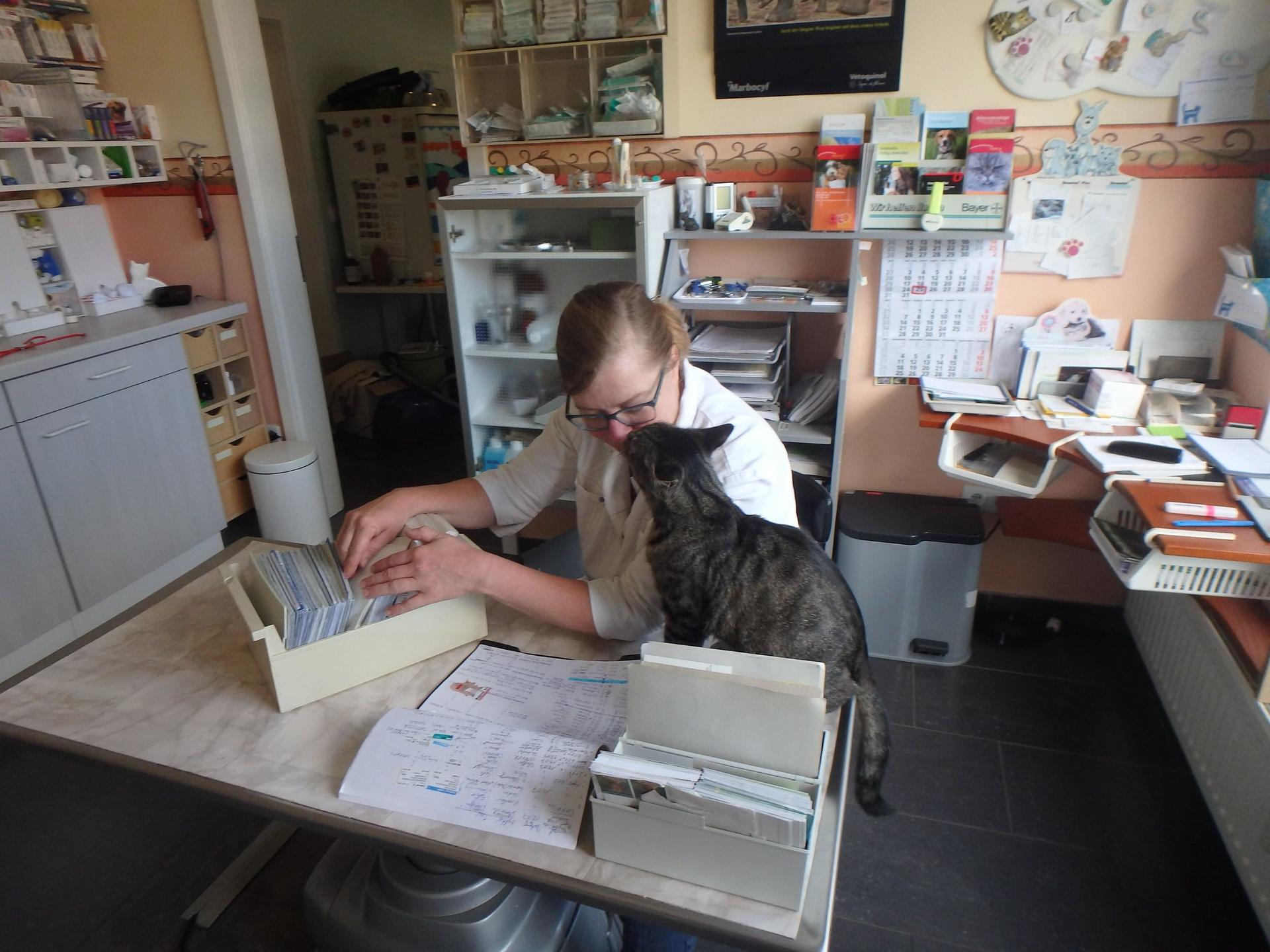 View 2 of Dr.med.vet. Veronika Madeiczyk Kleintierpraxis