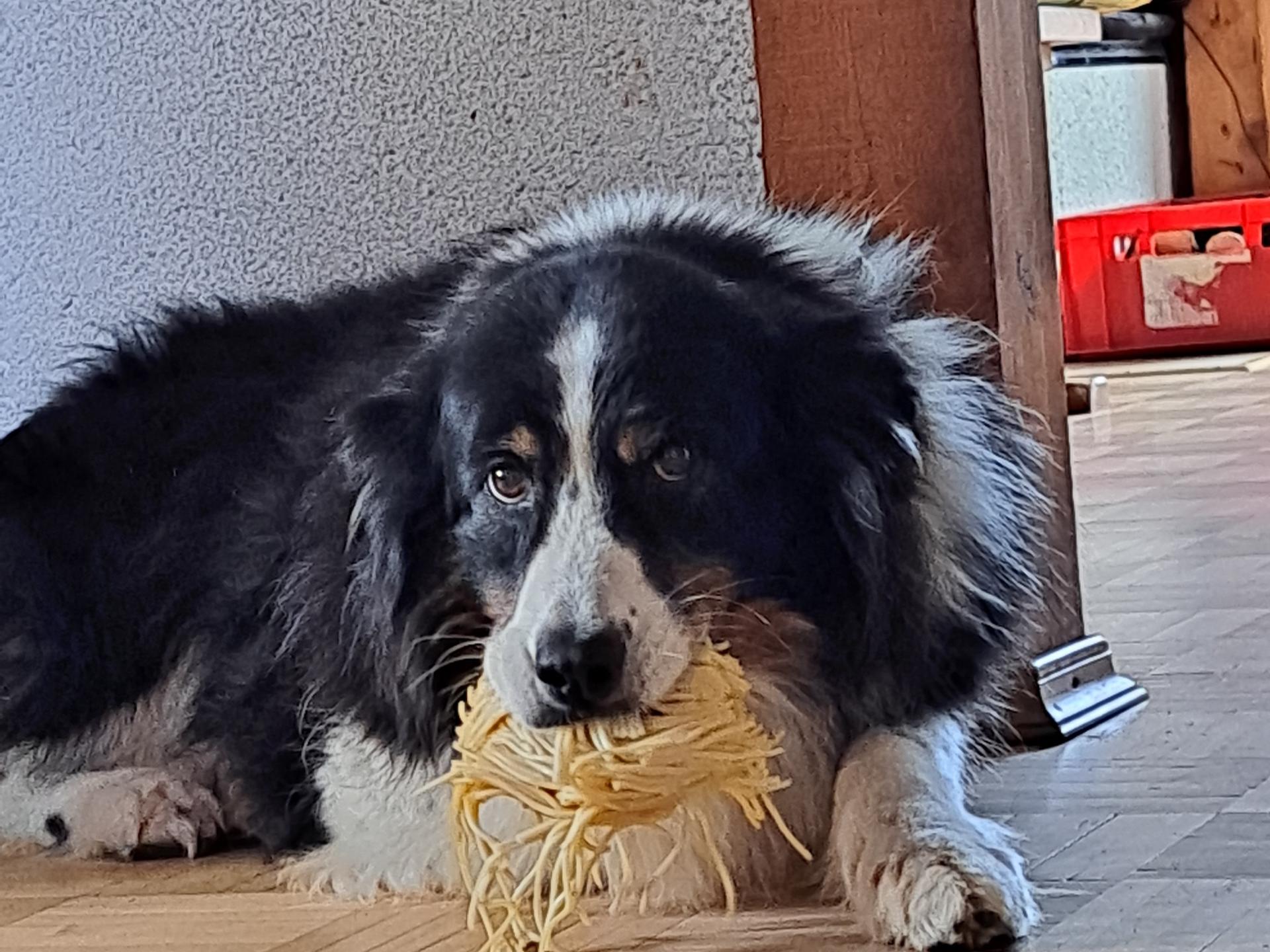 Ansicht 1 von Anke Unzeitig Tierärztin