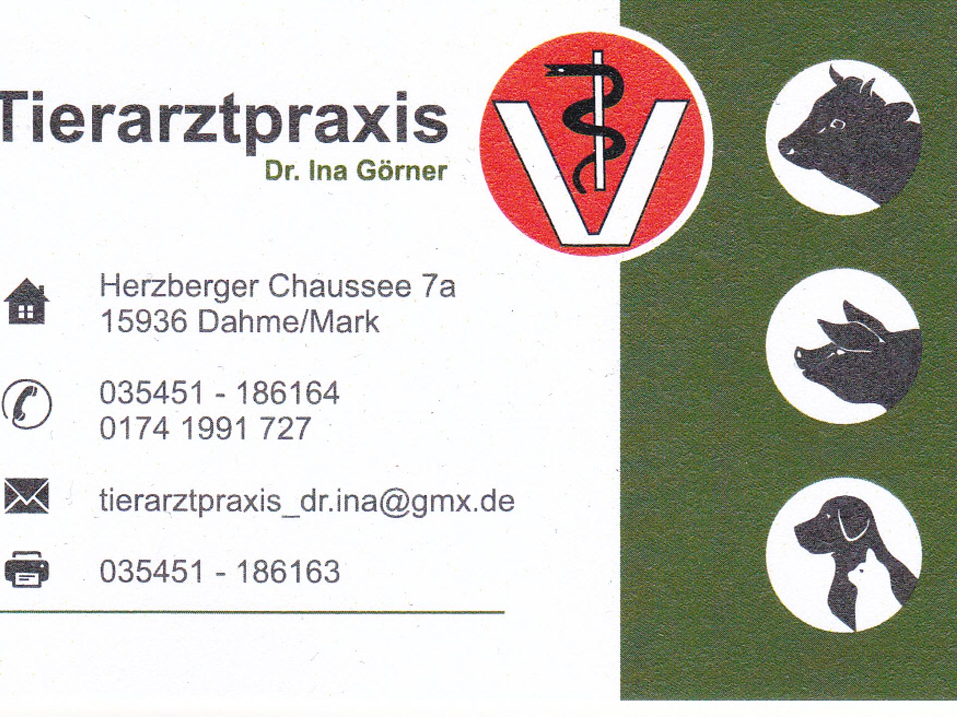 Ansicht 5 von Tierarztpraxis Dr. Ina Görner