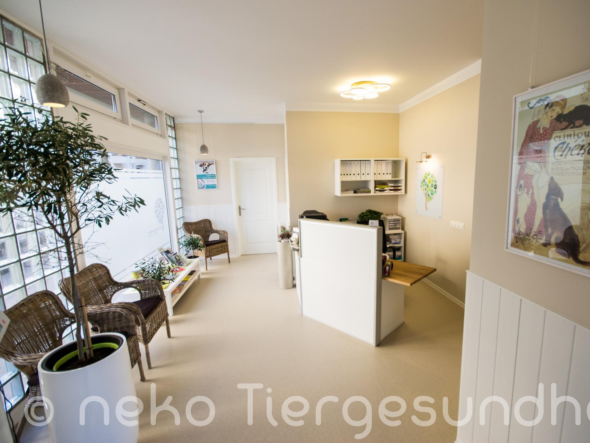 Ansicht 1 von Tierarztpraxis neko Tiergesundheit