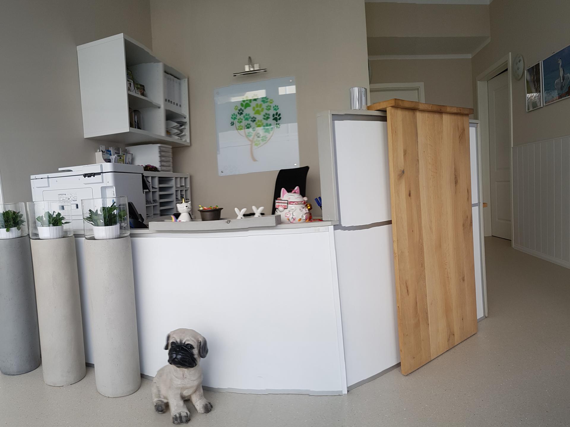 Ansicht 3 von Tierarztpraxis neko Tiergesundheit
