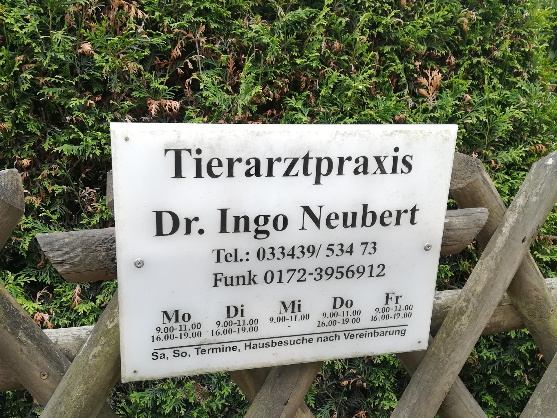 View 5 of Ingo Neubert