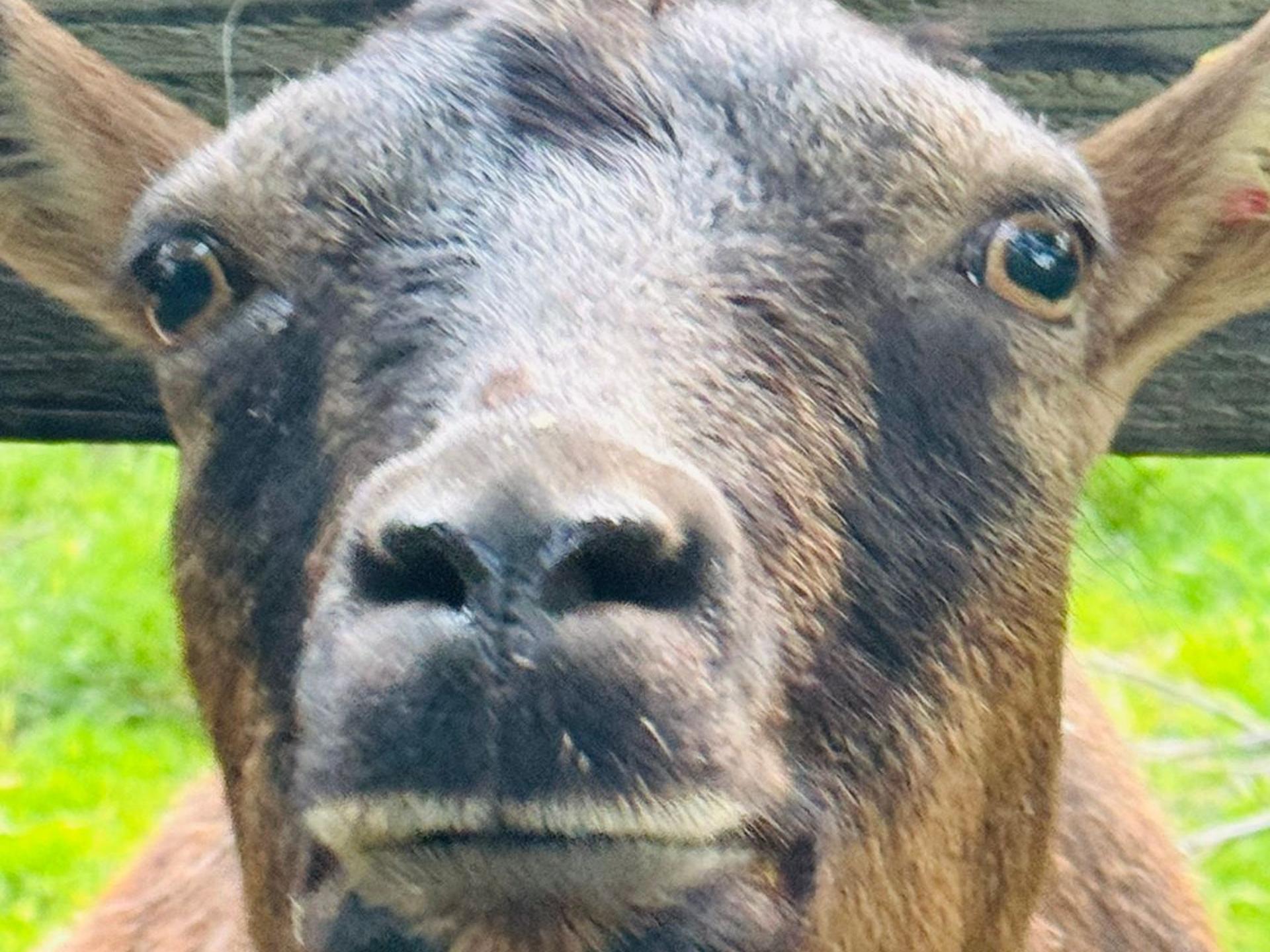 Ansicht 1 von Tierarztpraxis Tegtmeyer - für Großtiere