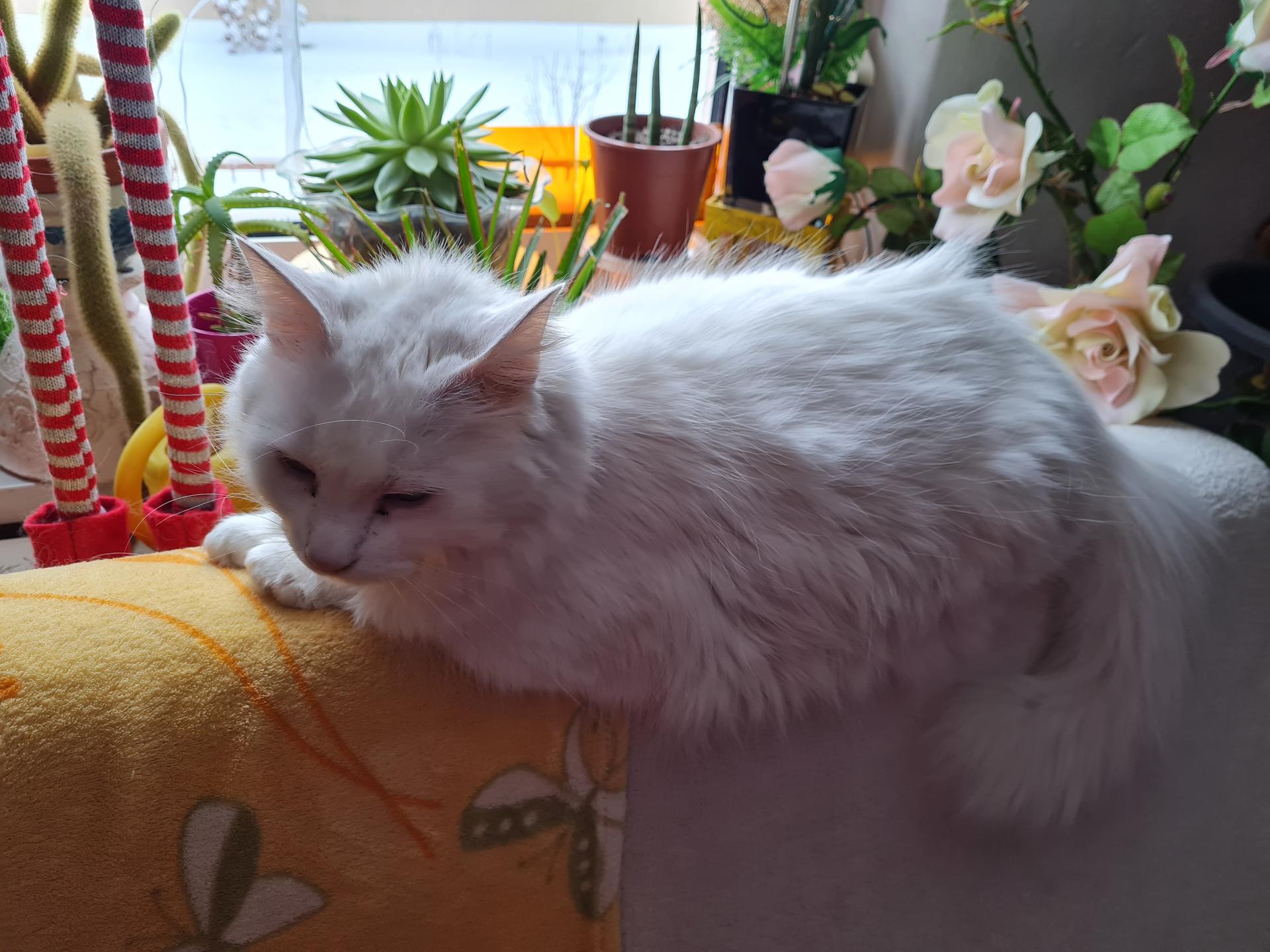 Ansicht 3 von Tierarztpraxis Schaube