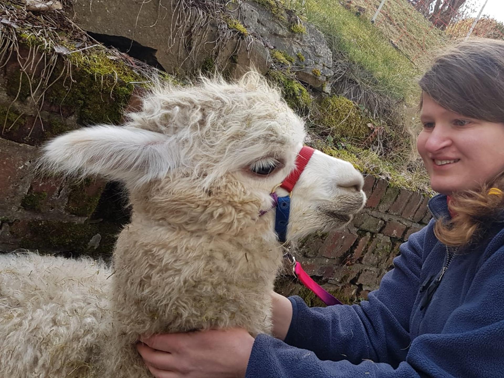 Ansicht 2 von Tierarztpraxis Weidenhausen Julia Henk-Schulte