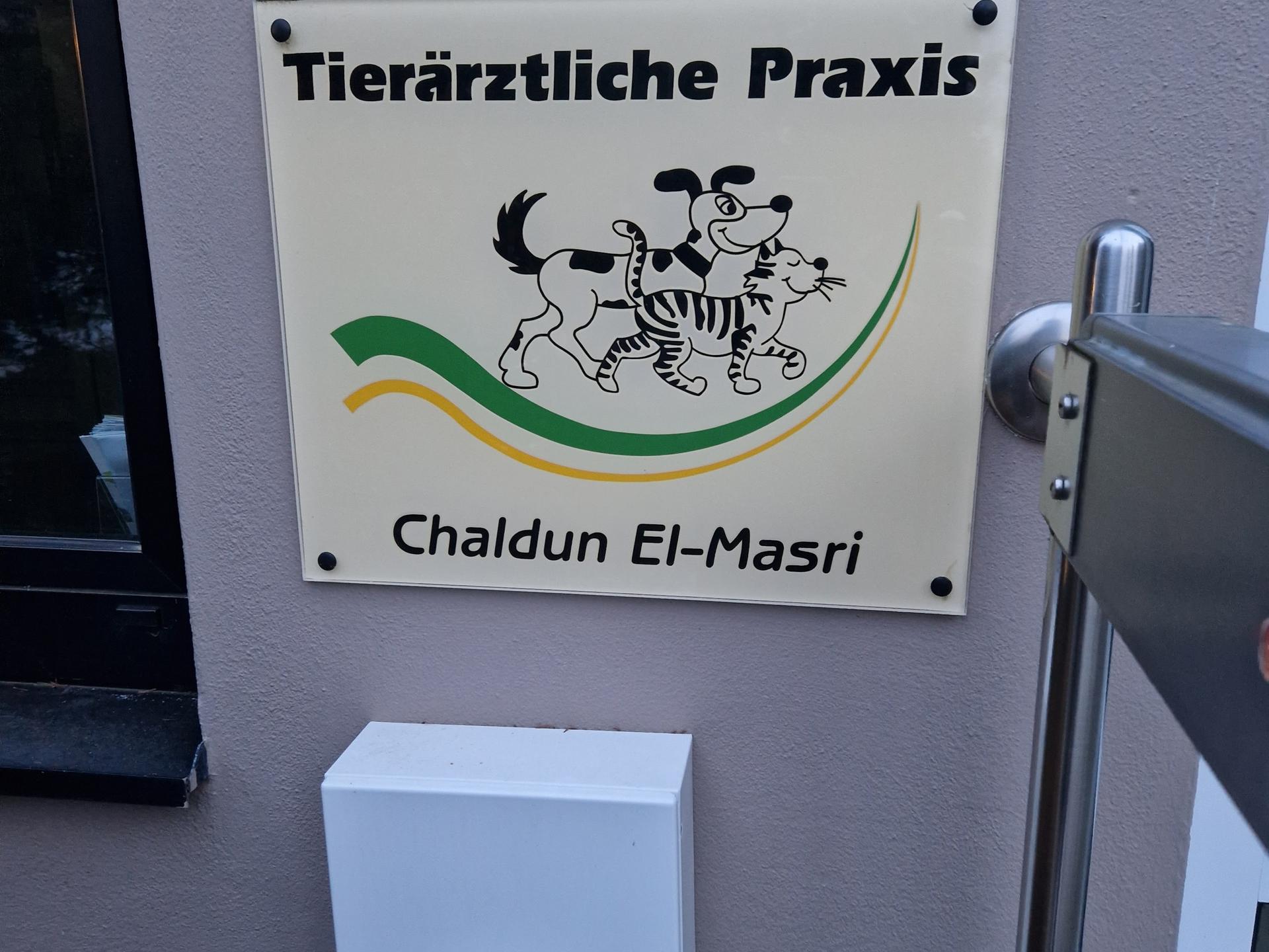 View 1 of Chaldun El-Masri