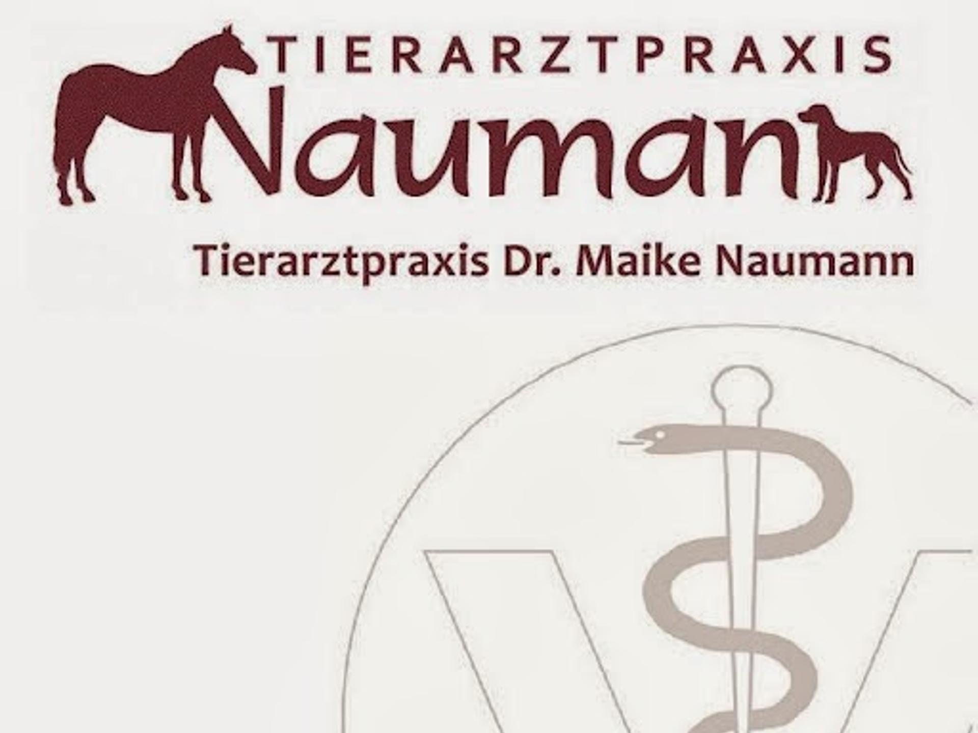 Ansicht 2 von Tierarztpraxis Dr. Maike Naumann