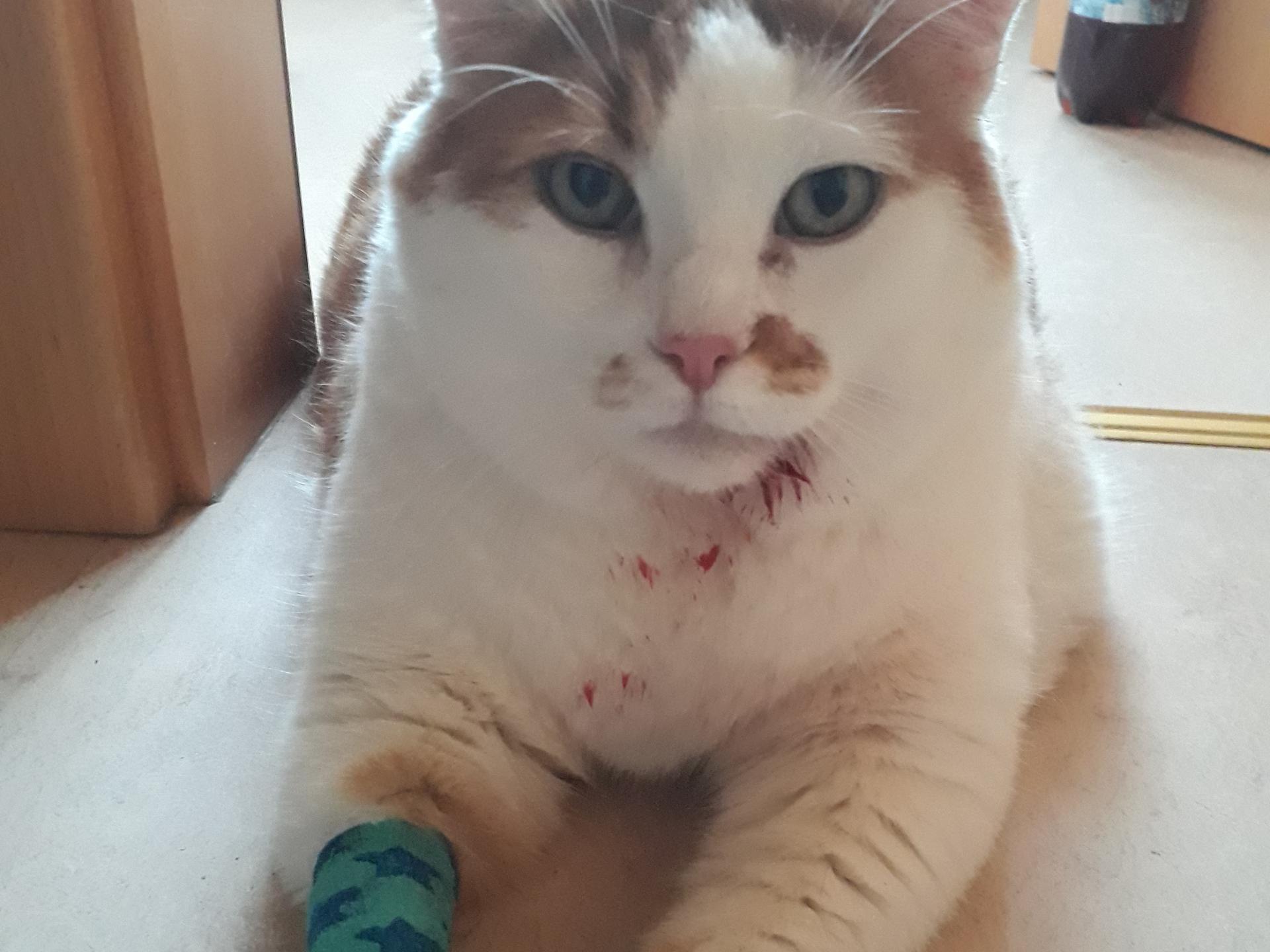 Ansicht 3 von Tierärztliche Praxis Geck