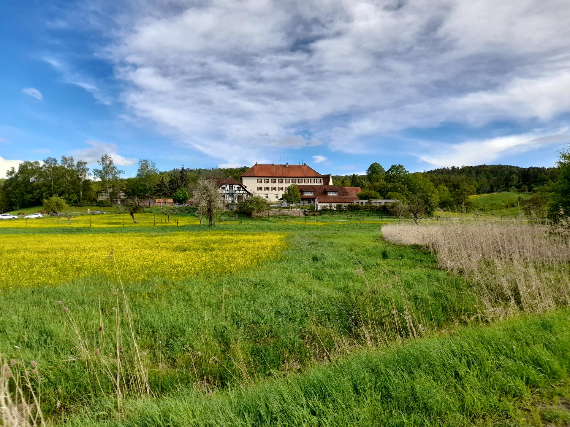 Ansicht 2 von Pferde- und Kleintierpraxis Domäne Ammerhof