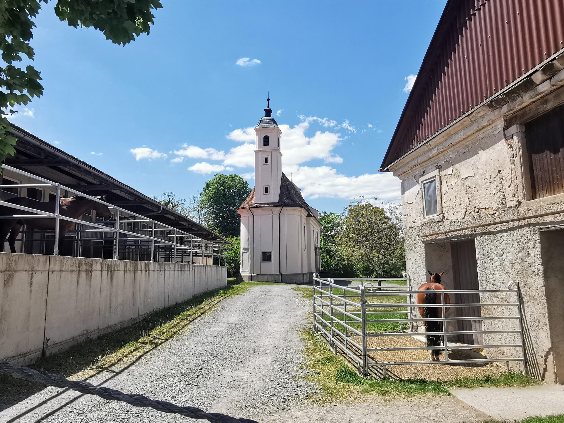 Ansicht 3 von Pferde- und Kleintierpraxis Domäne Ammerhof