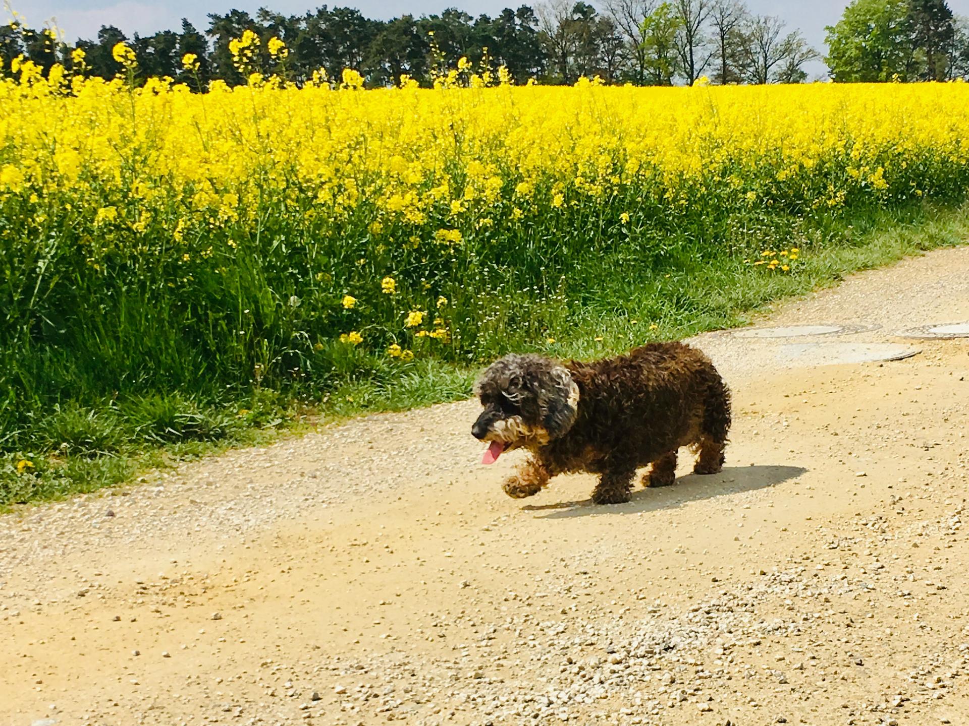 Ansicht 2 von Tierarztpraxis Schrobenhausen