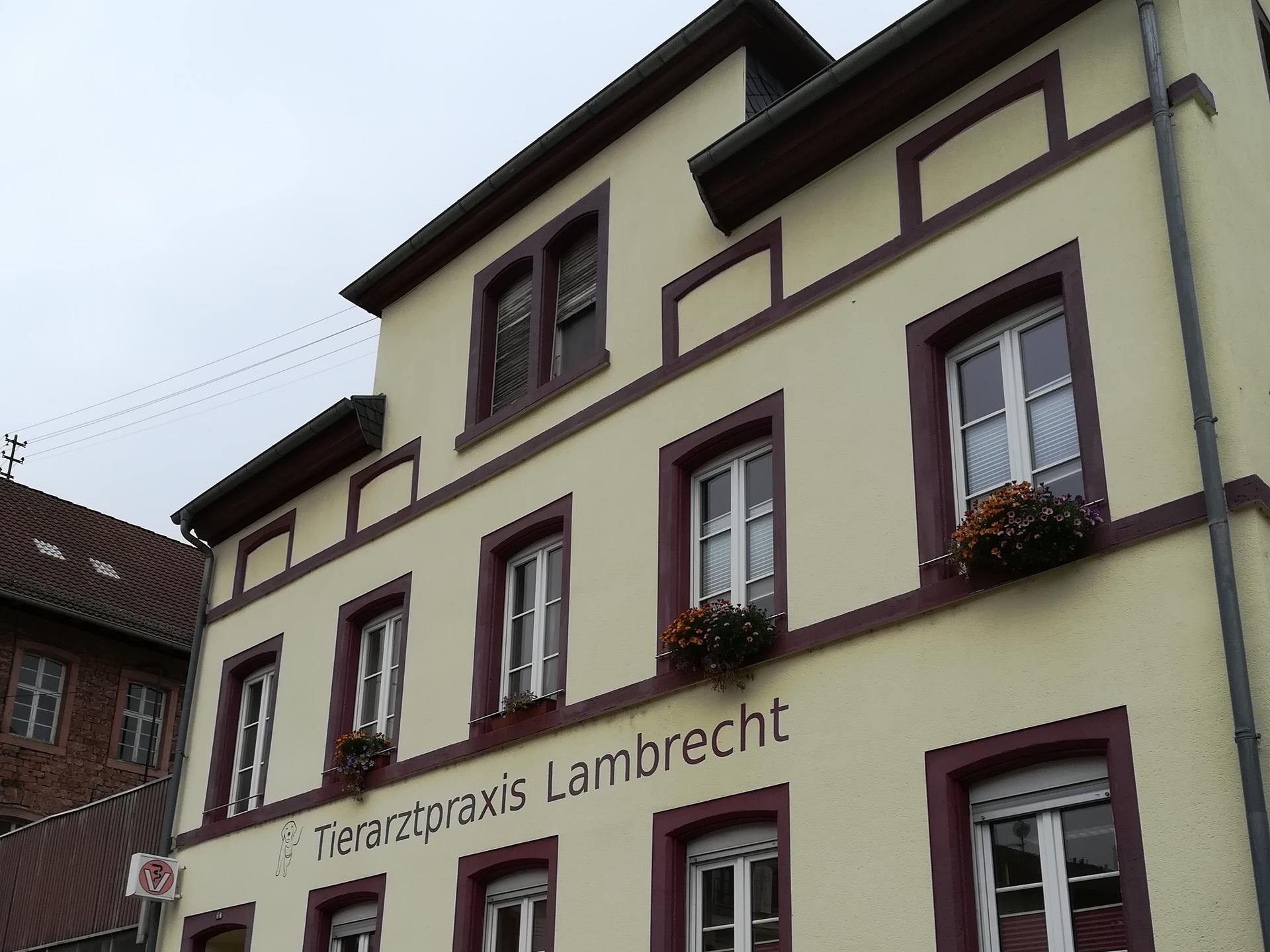 Ansicht 2 von Tierarztpraxis Lambrecht